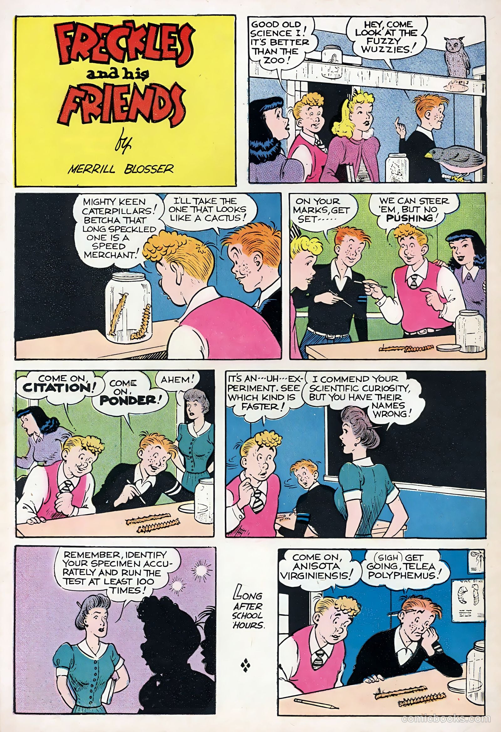Freckles and His Friends #1 (1955) — page 36 of 36