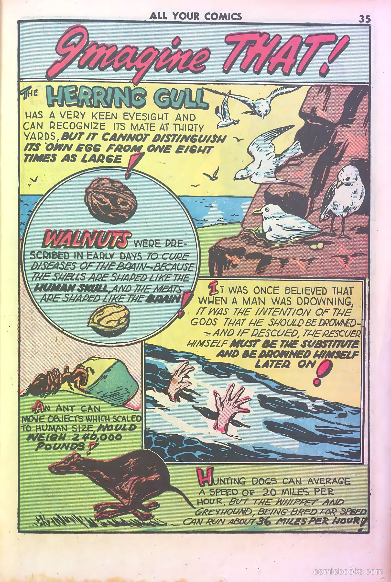 All Your Comics #1 (1946) — page 37 of 131