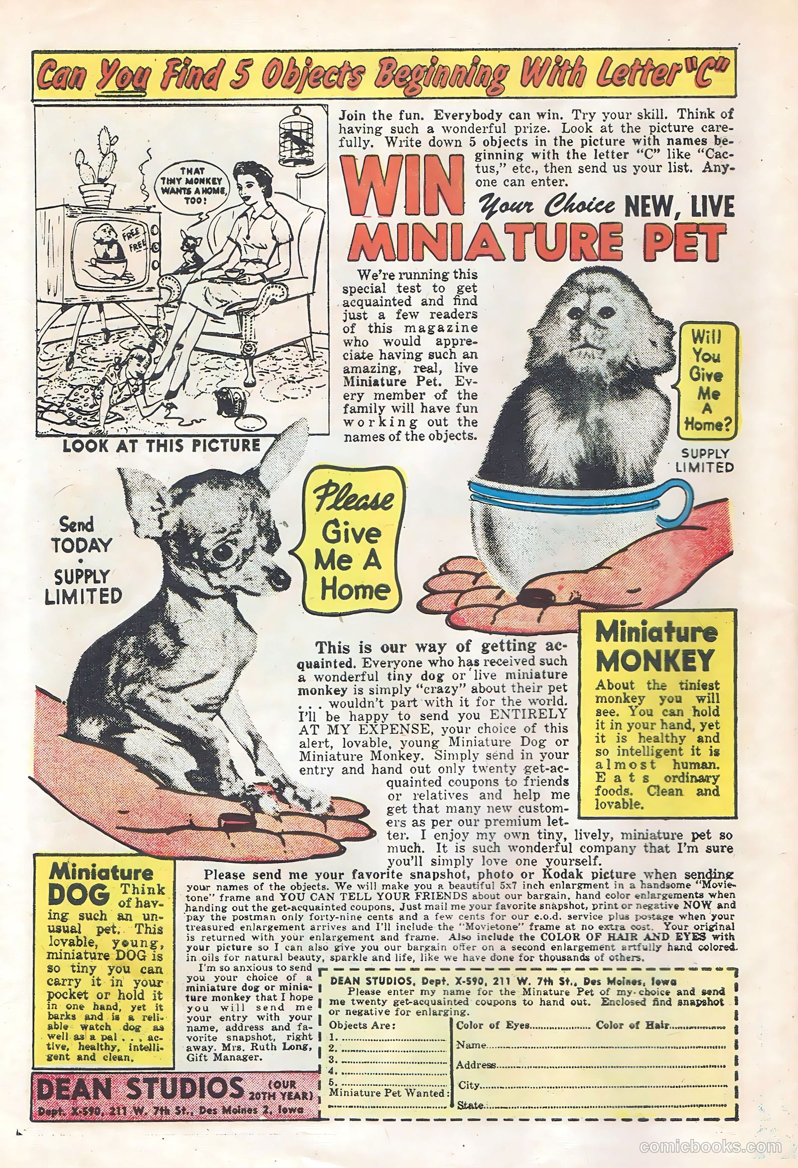 Freddy #1 (1959) — page 6 of 35