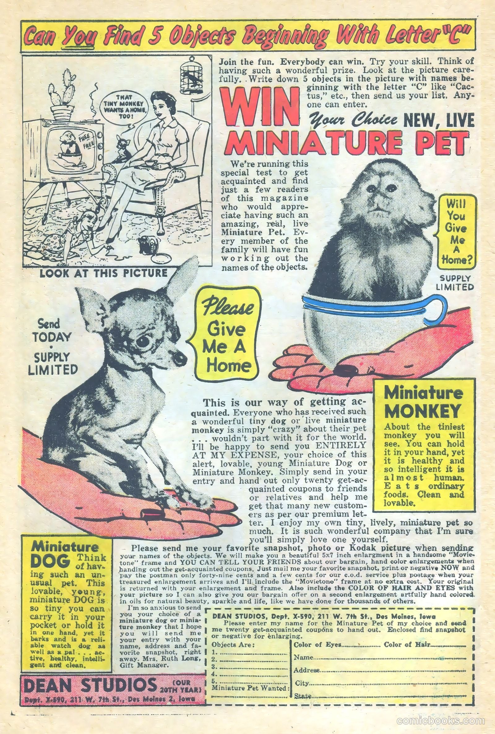 Freddy #16 (1959) — page 6 of 36