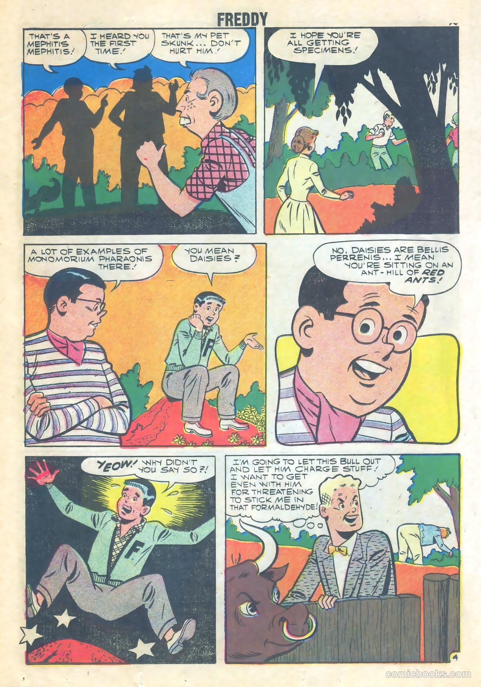 Freddy #16 (1959) — page 18 of 36