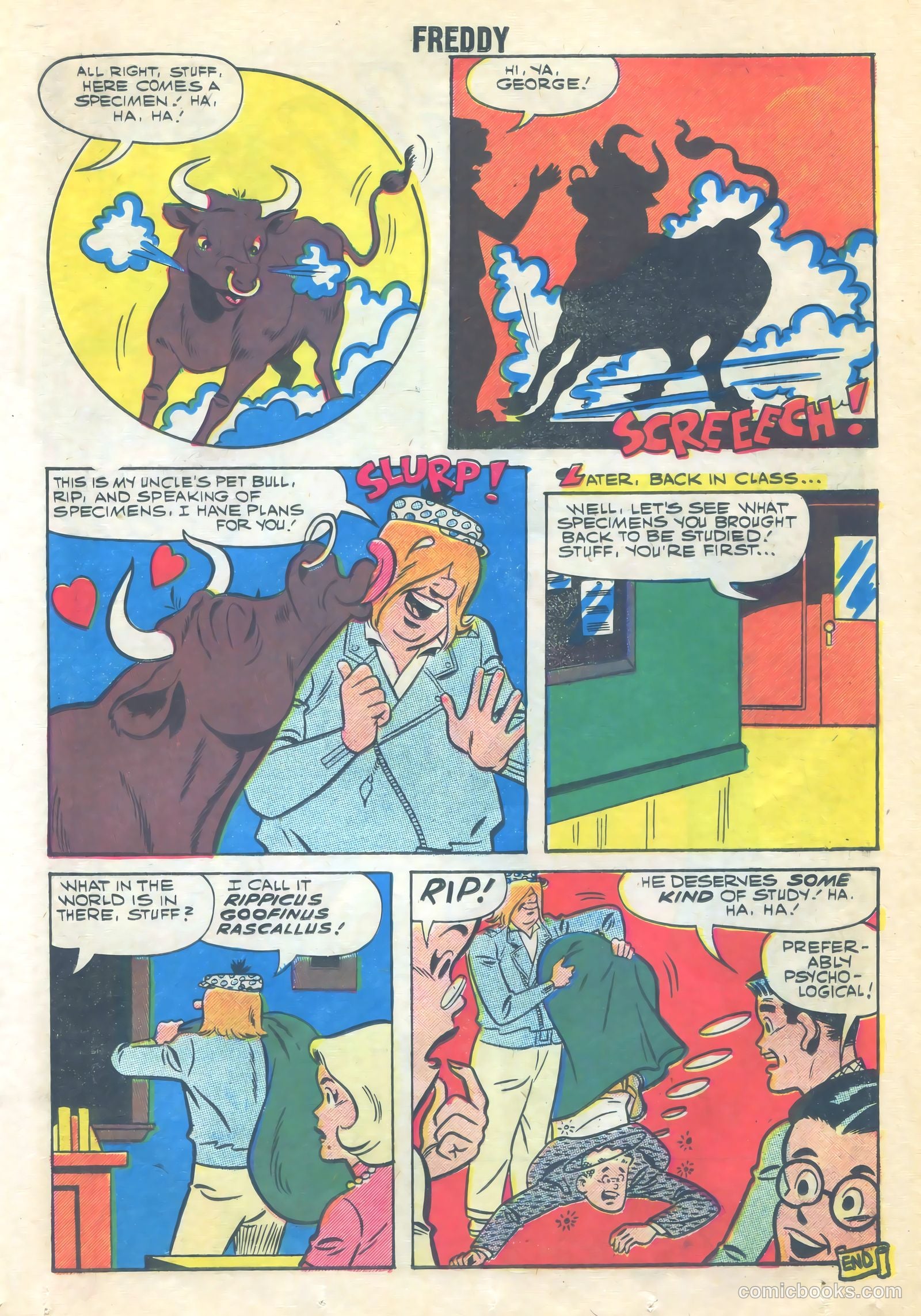 Freddy #16 (1959) — page 19 of 36