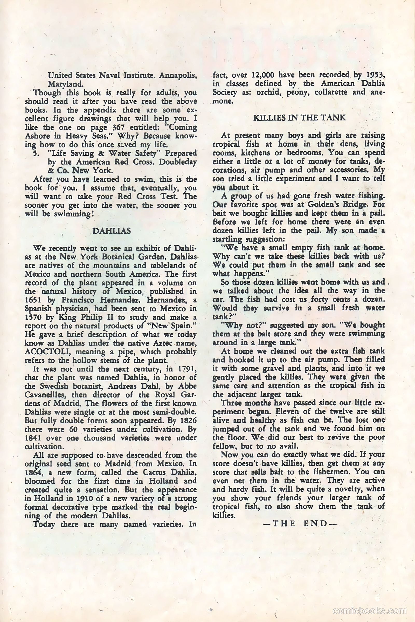 Freddy #40 (1963) — page 25 of 36
