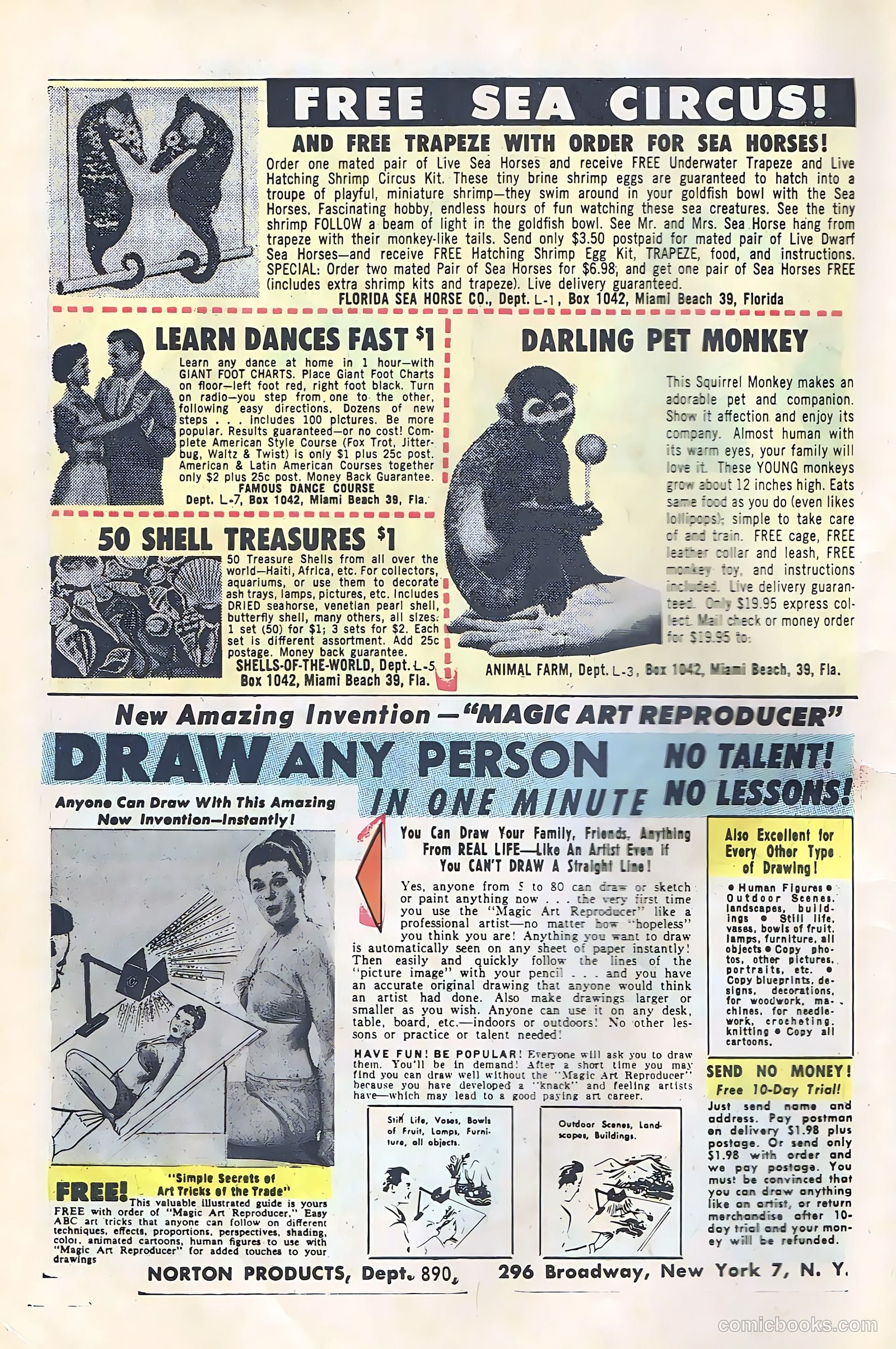 Freddy #43 (1963) — page 6 of 36