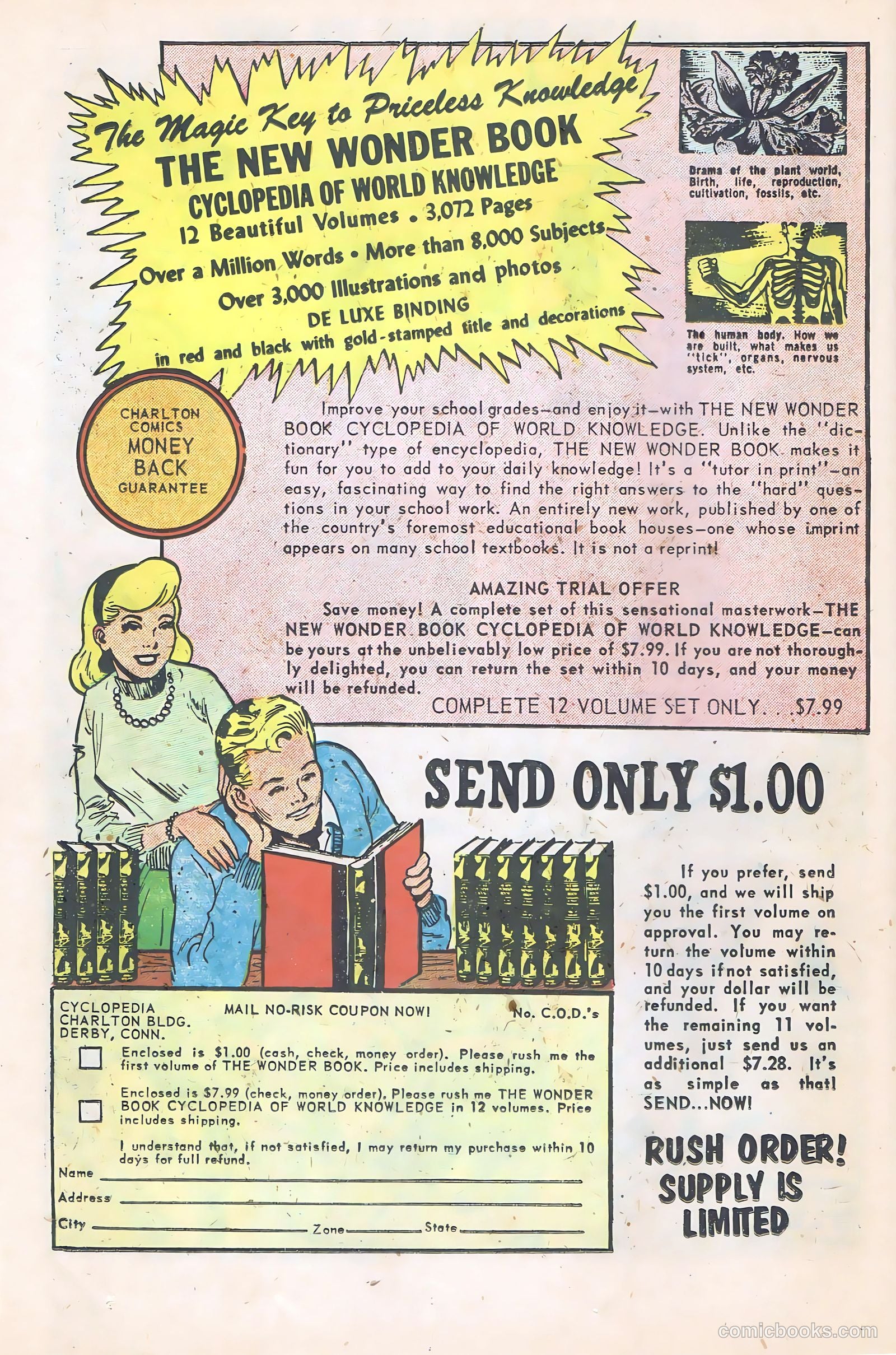 Freddy #8 (1960) — page 22 of 36