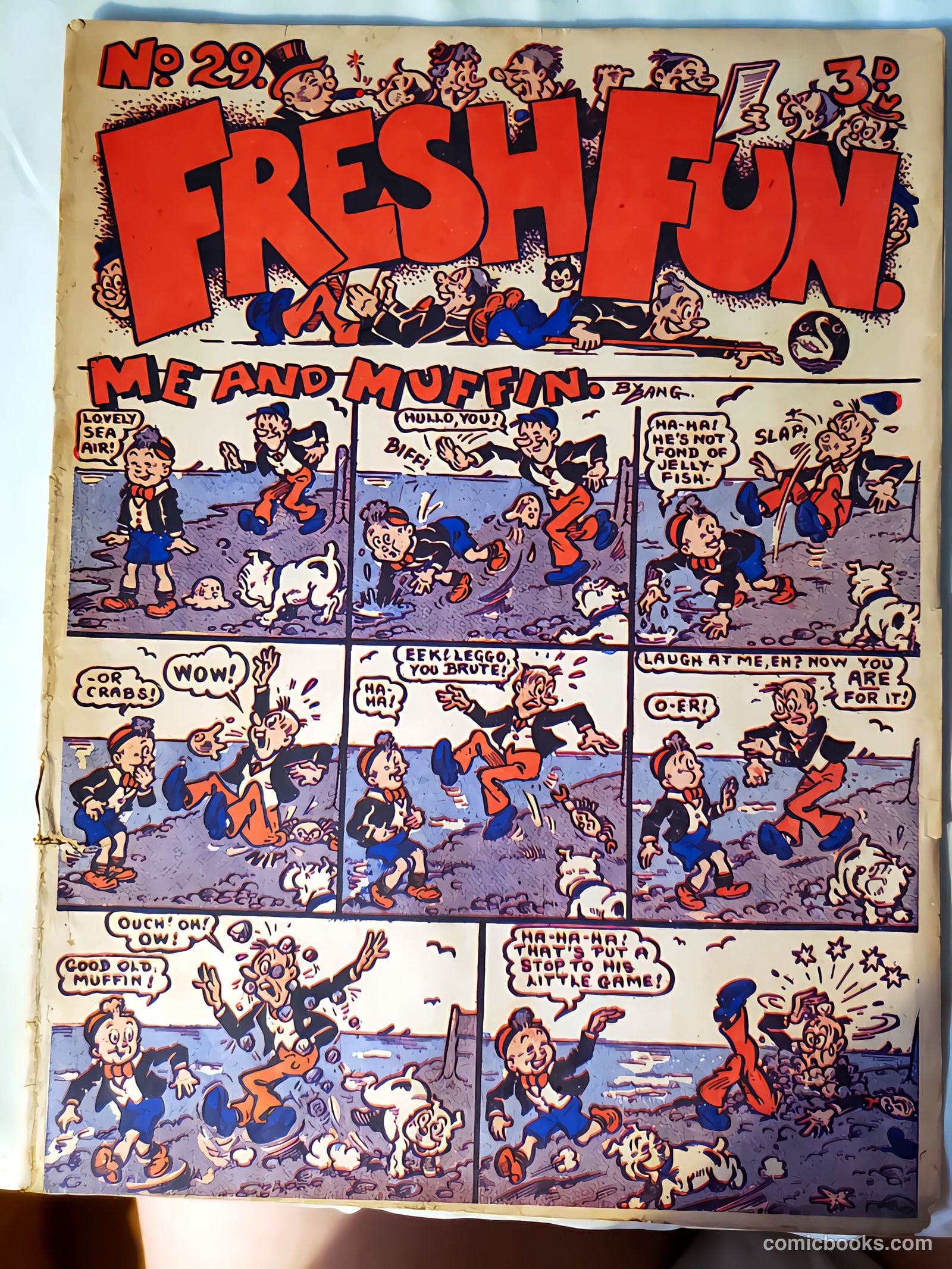 Fresh Fun #29