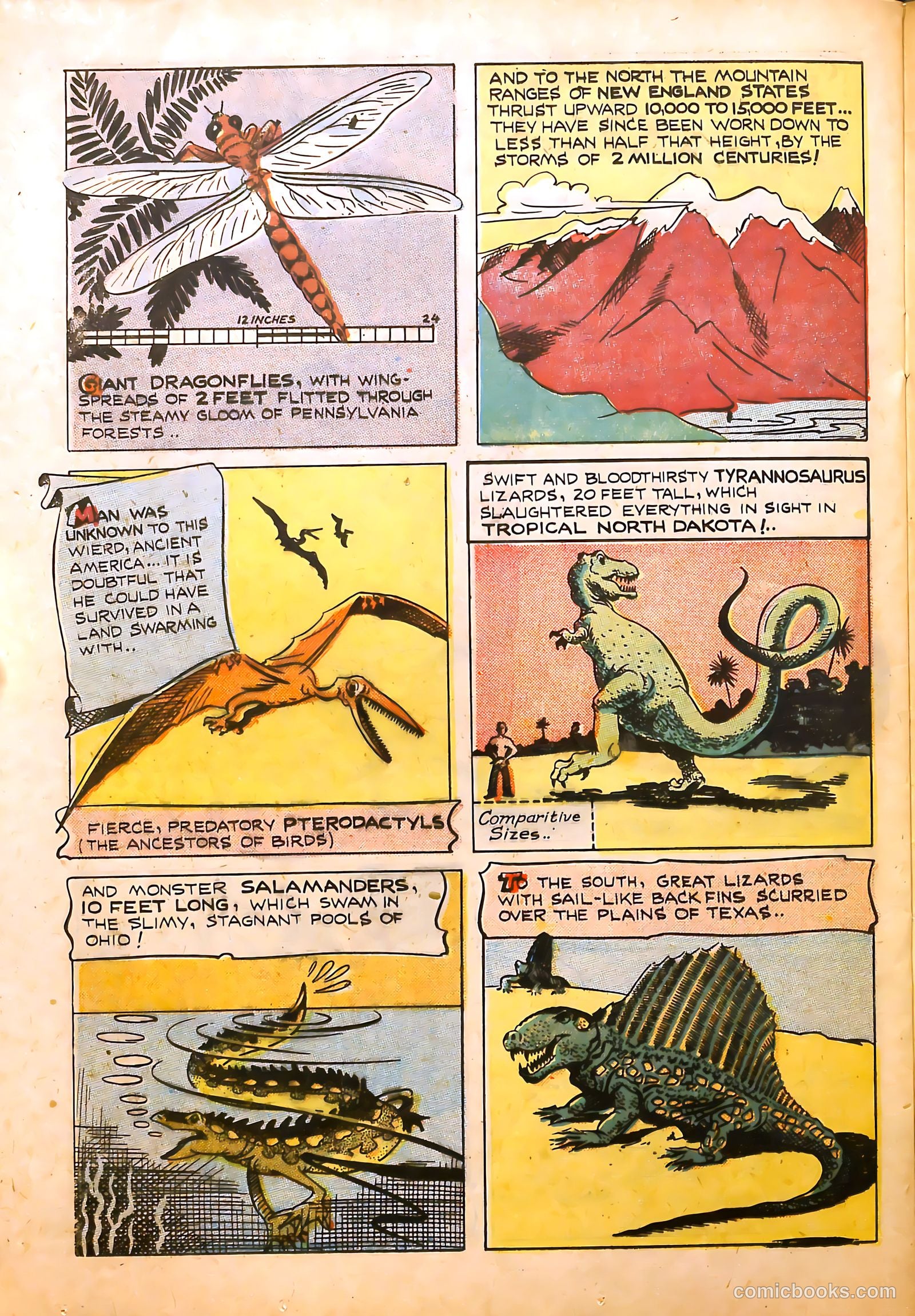 Frisky Animals #48 (1952) — page 23 of 33