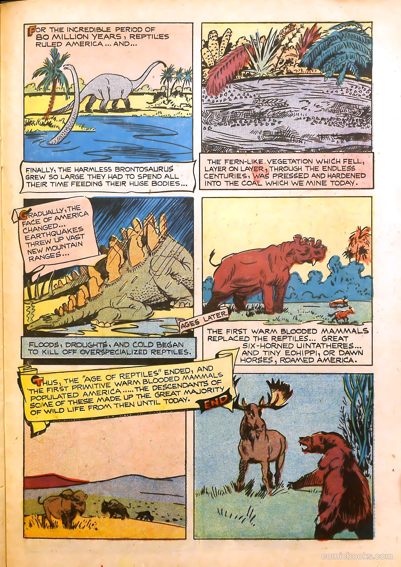 Frisky Animals #48 (1952) — page 24 of 33