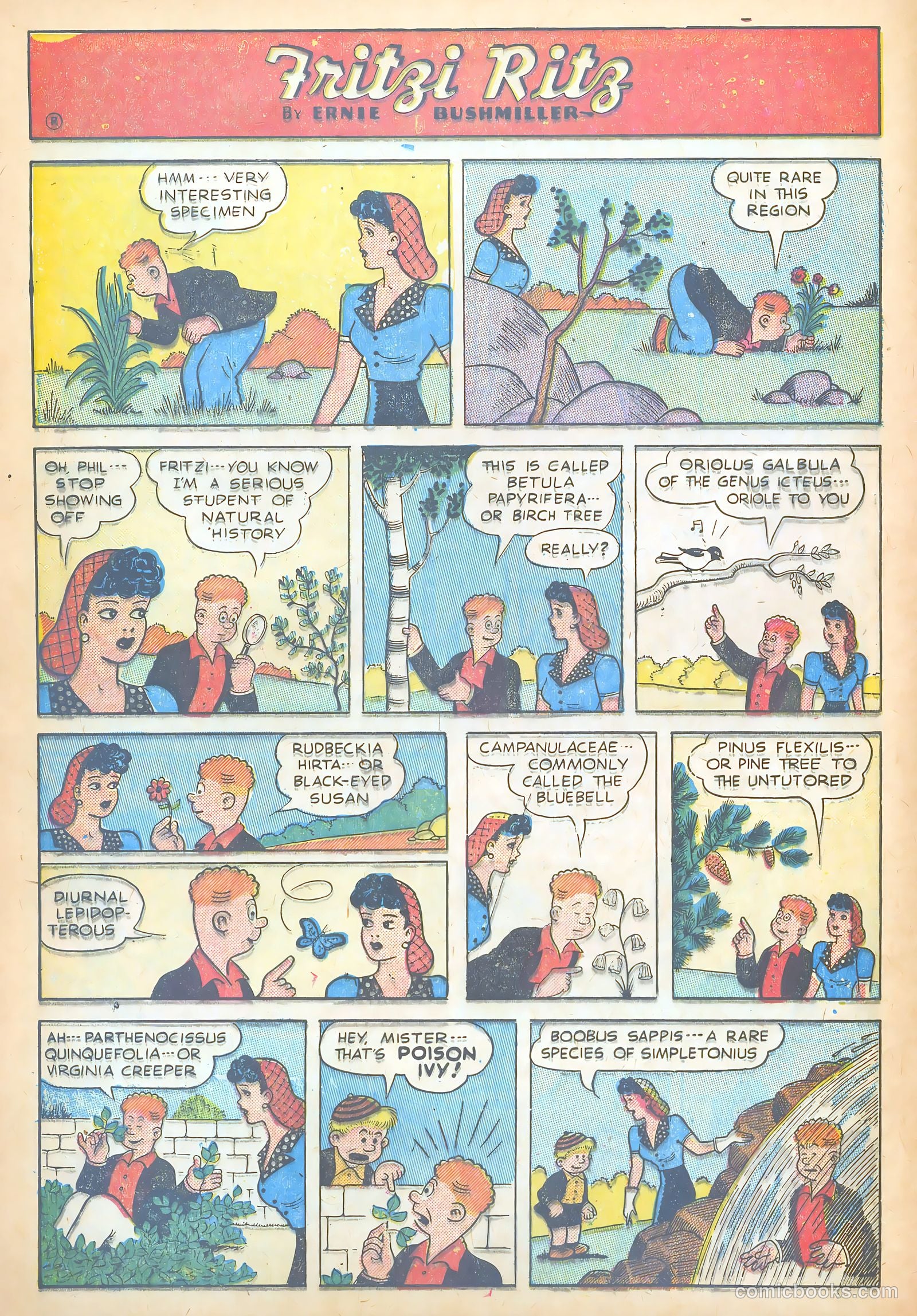 Fritzi Ritz #55 (1957) — page 14 of 30