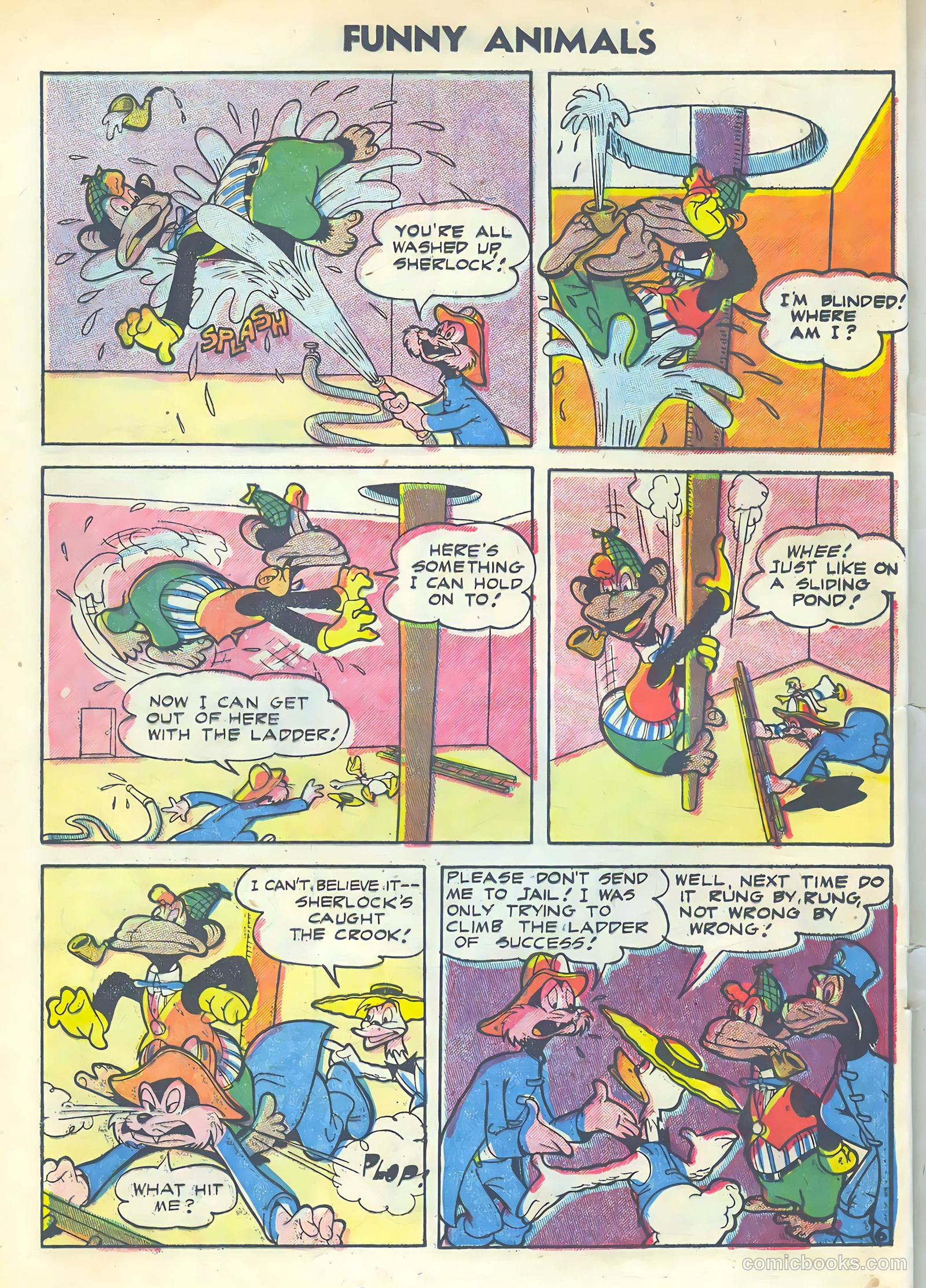 Funny Animals #85 (1954) — page 24 of 36