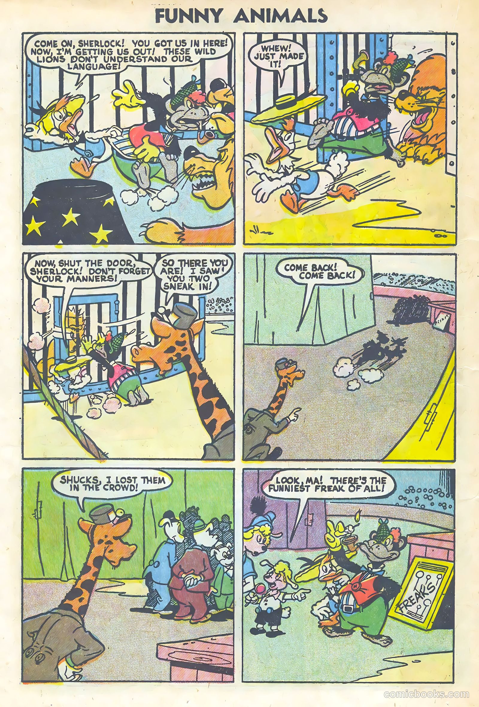 Funny Animals #89 (1955) — page 20 of 36