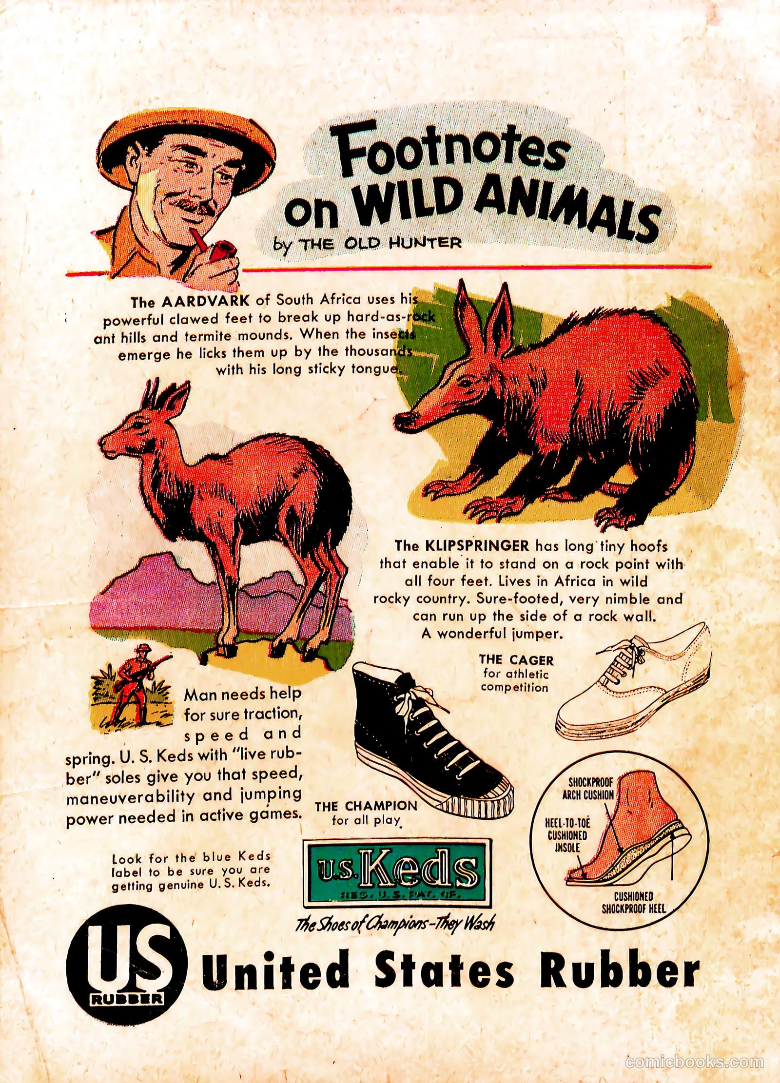 Funny Comics #1 (1955) — page 36 of 36