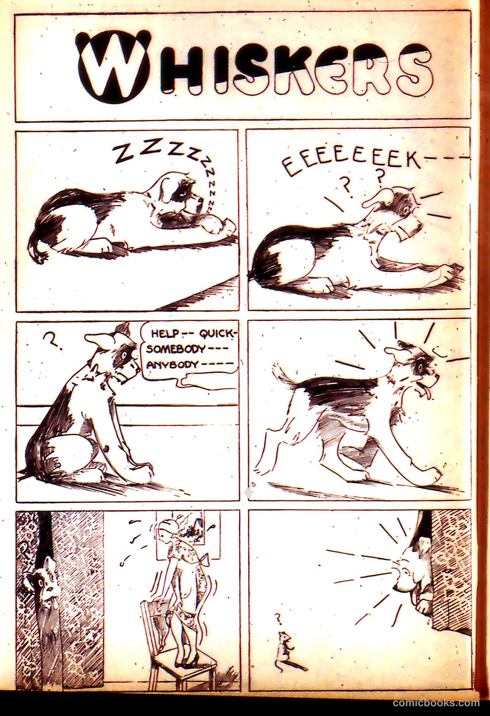 Funny Pages #11 (1938) — page 20 of 66