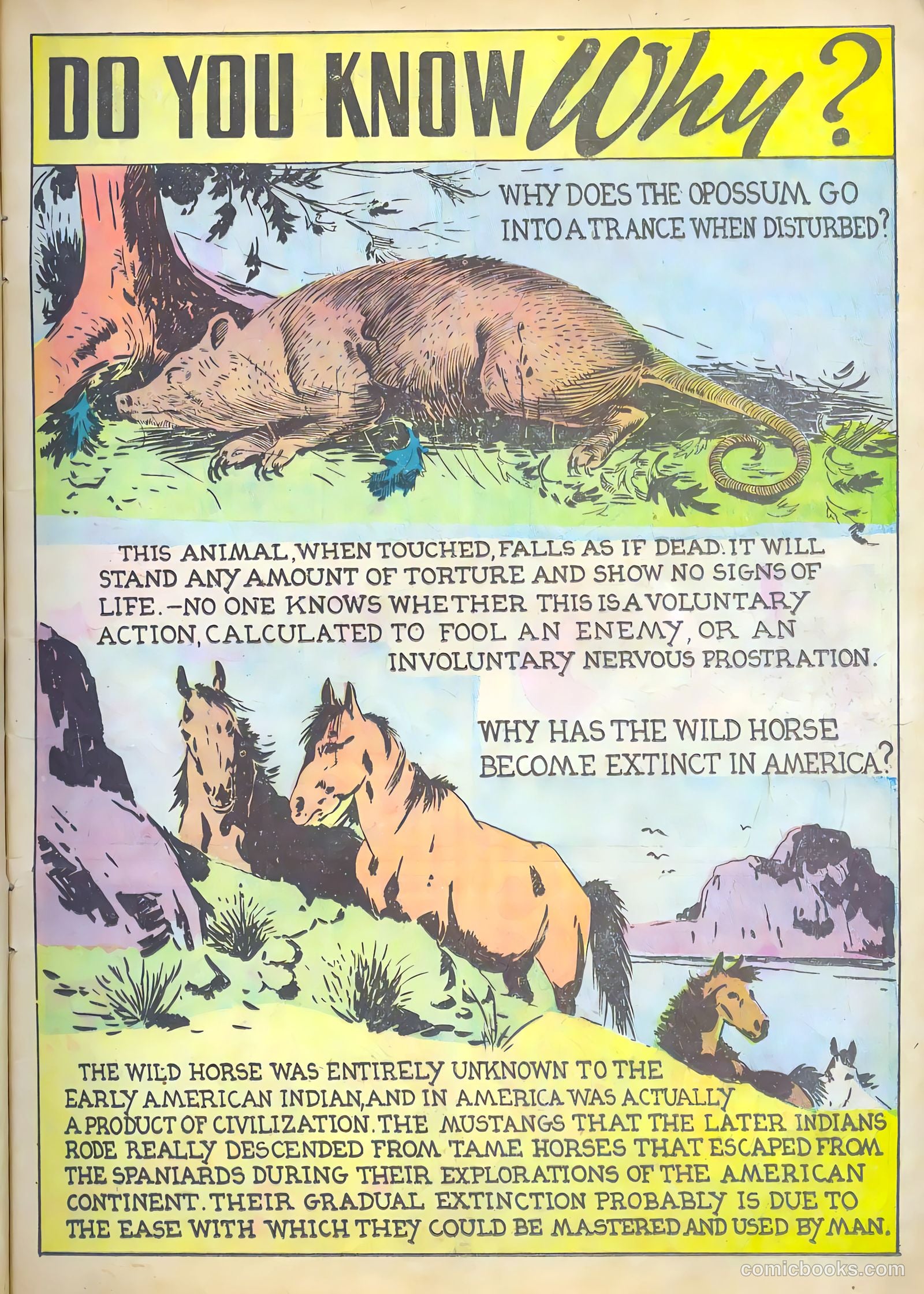 Funny Pages #2 (1939) — page 23 of 60