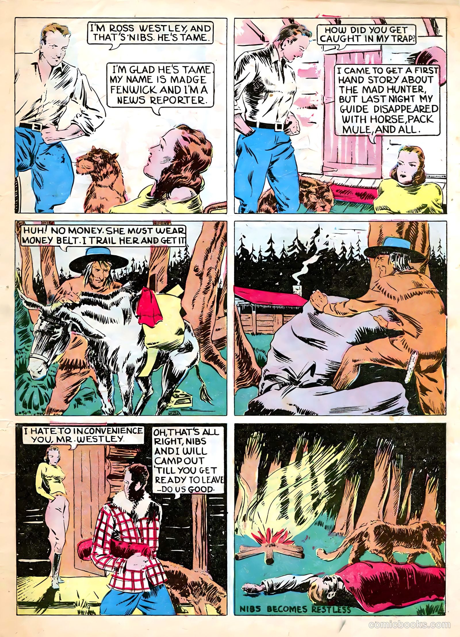 Funny Picture Stories #1 (1939) — page 54 of 56