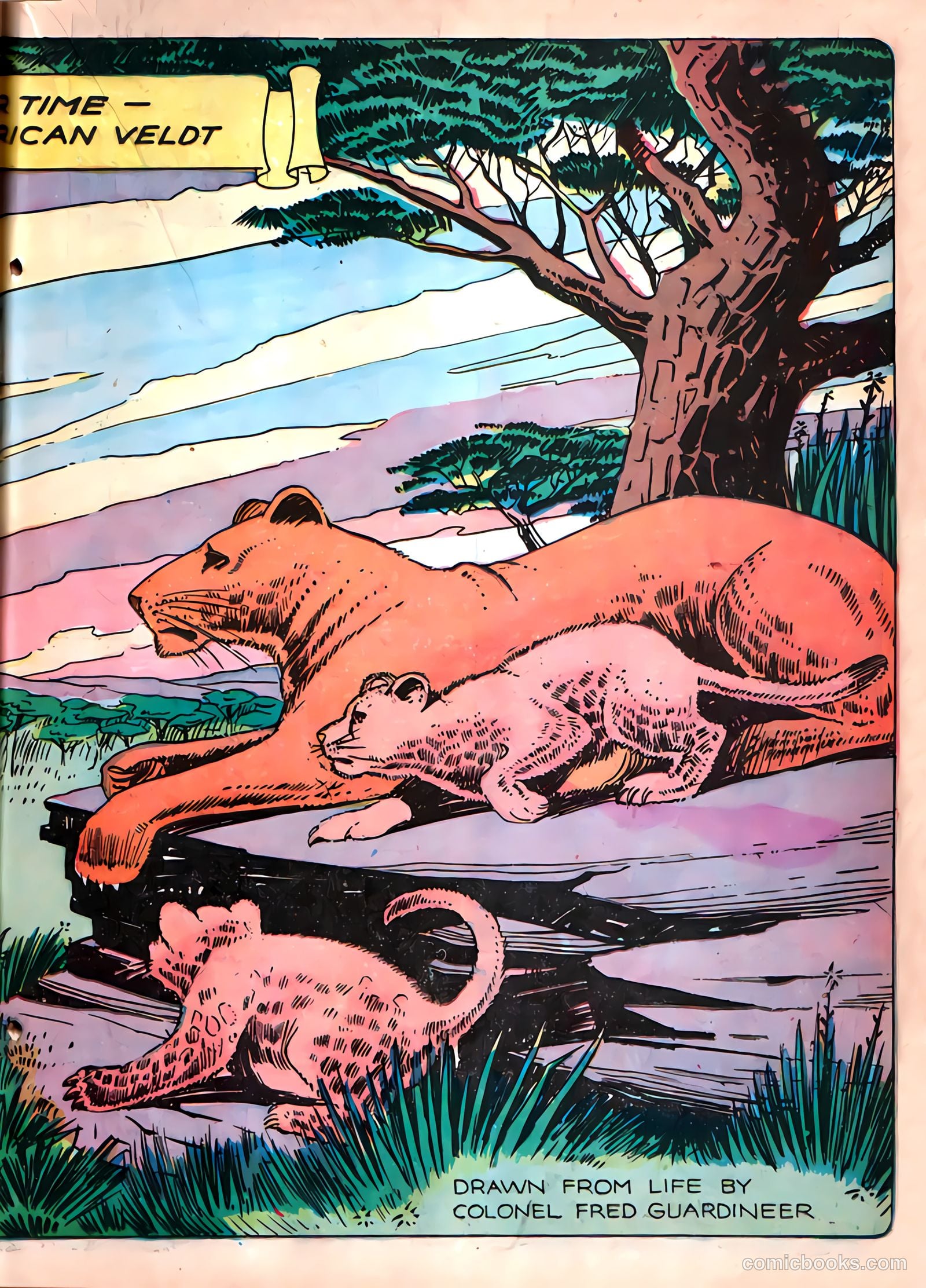 Funny Picture Stories #2 (1939) — page 36 of 69
