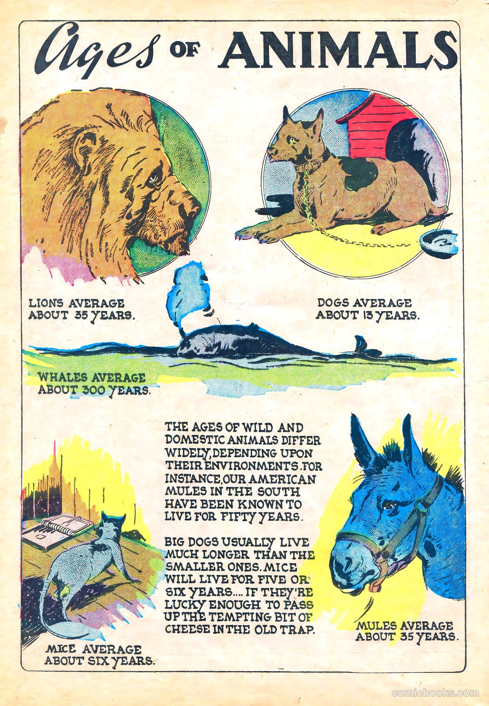Funny Picture Stories #5 (1937) — page 66 of 68