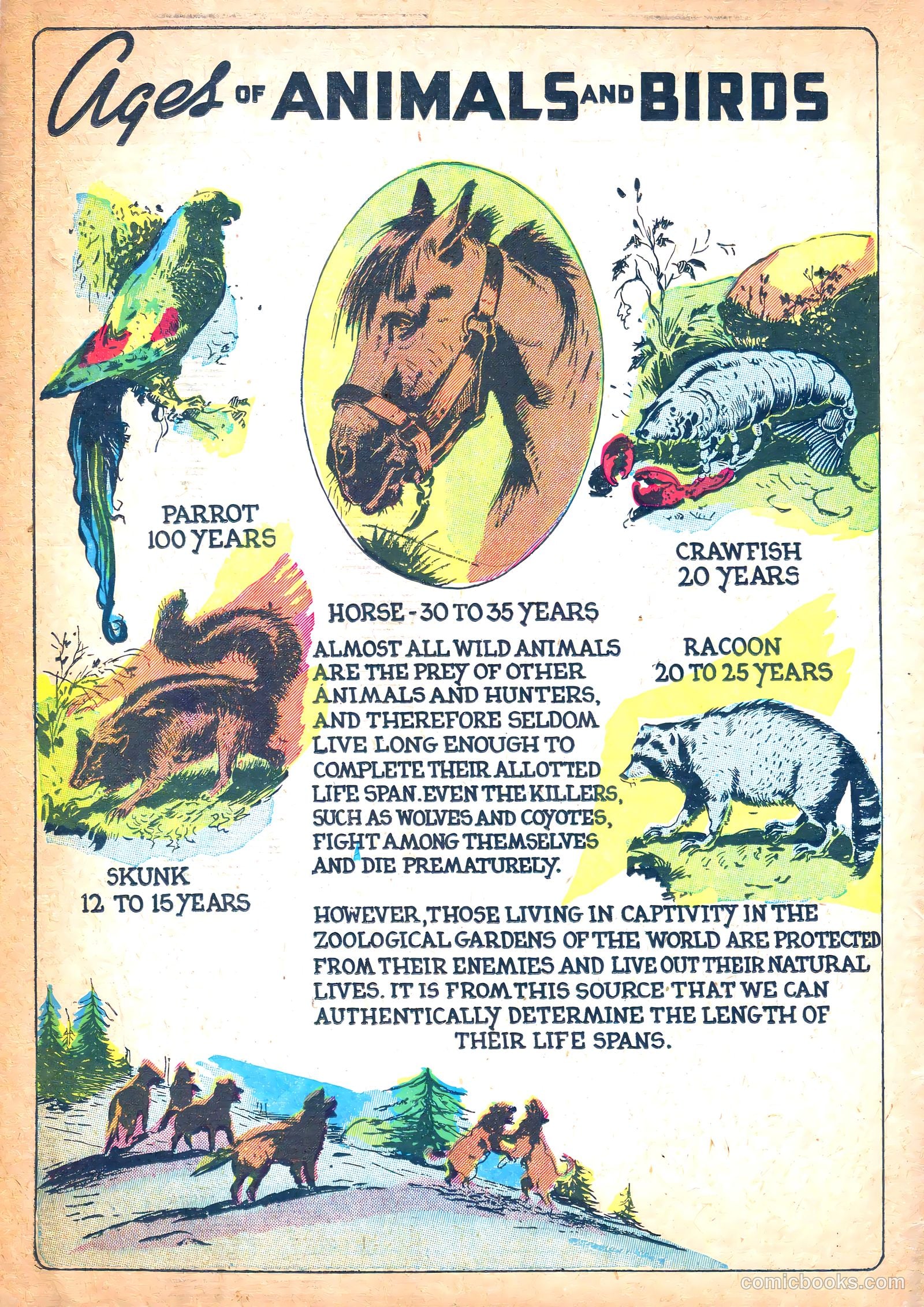 Funny Picture Stories #6 (1938) — page 65 of 67