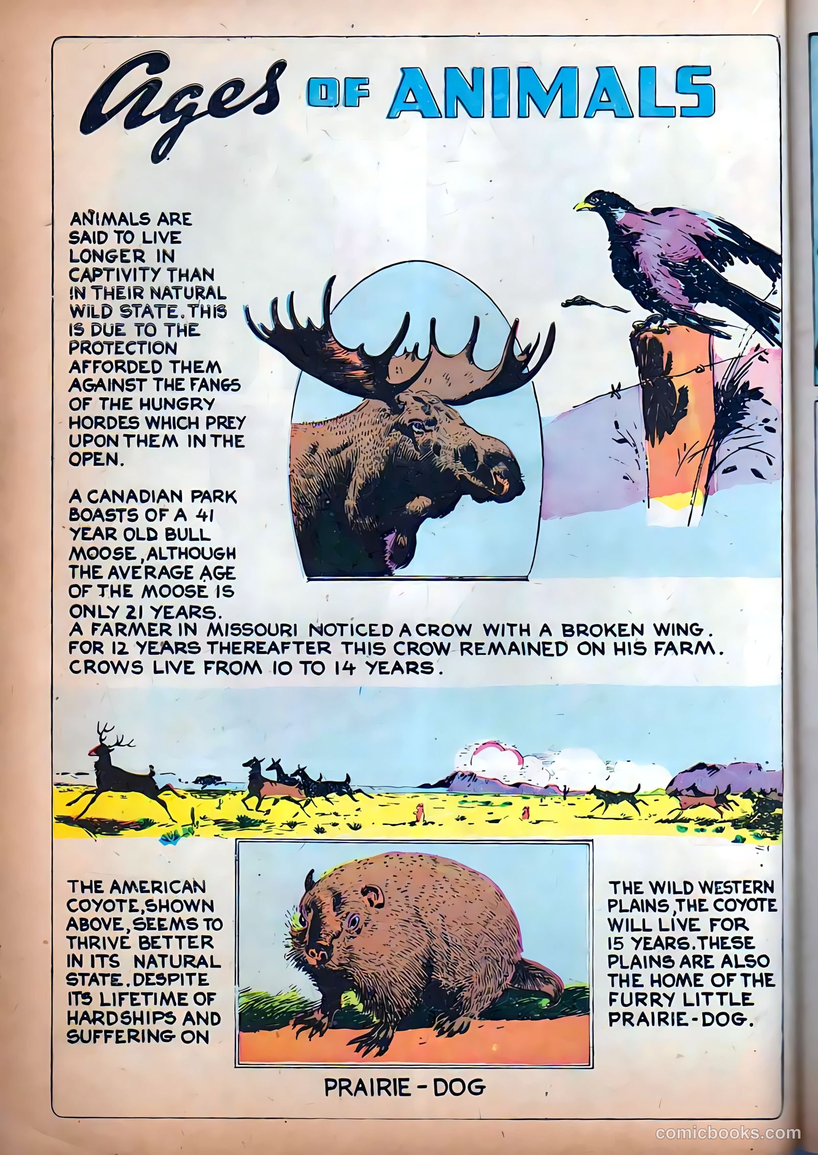 Funny Picture Stories #9 (1938) — page 18 of 53