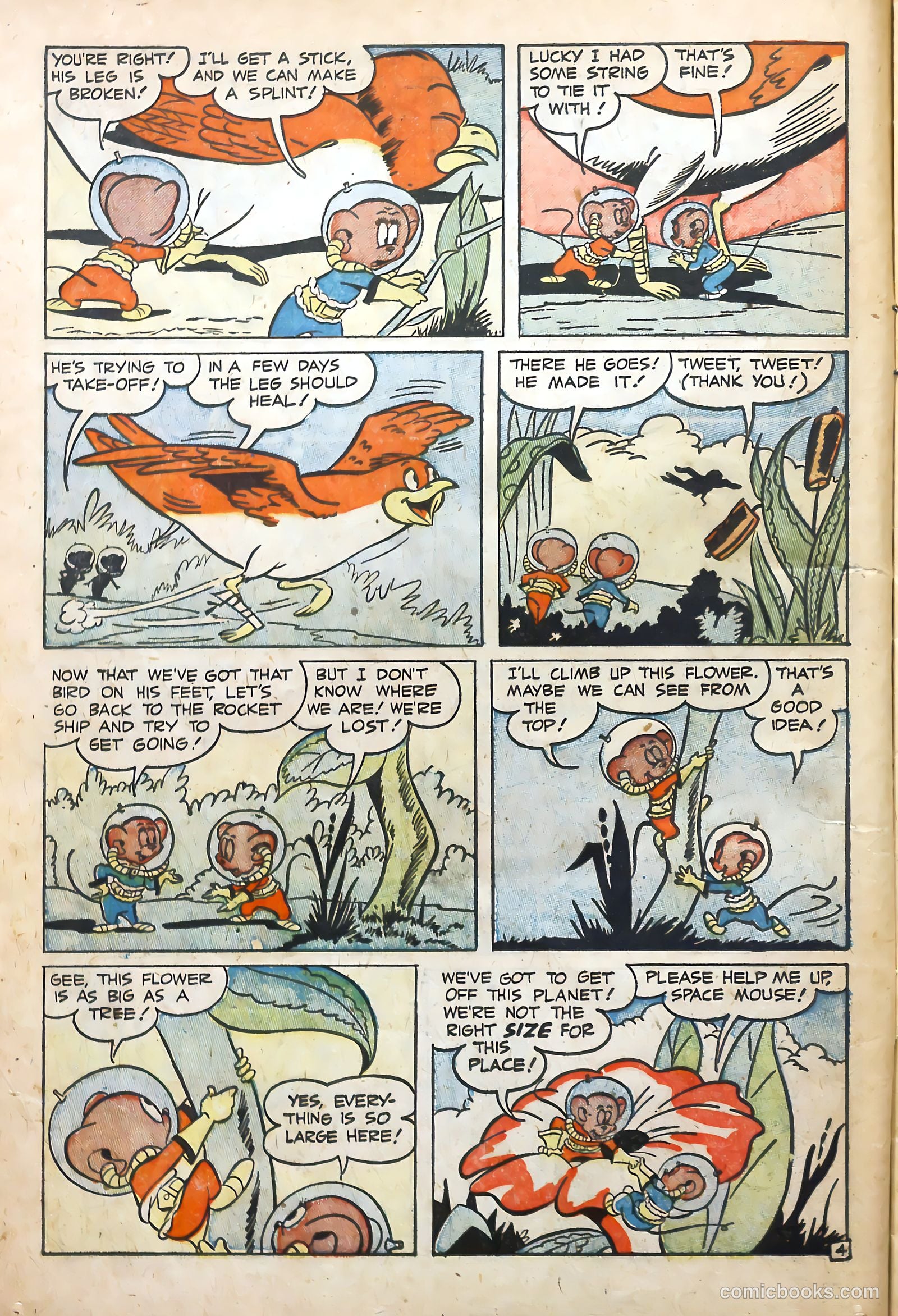 Funny Tunes #1 (1953) — page 14 of 36