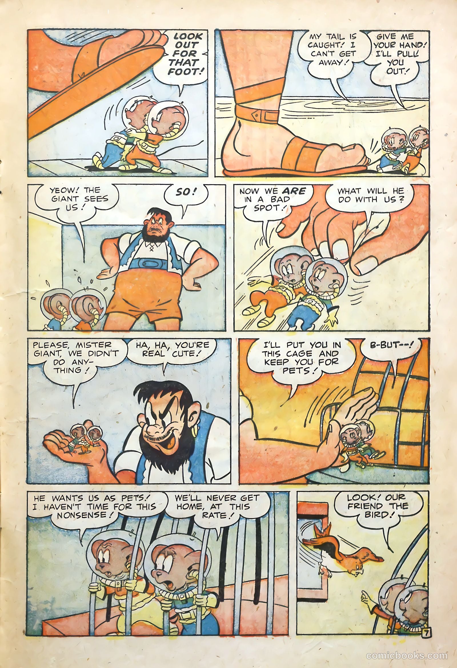 Funny Tunes #1 (1953) — page 17 of 36