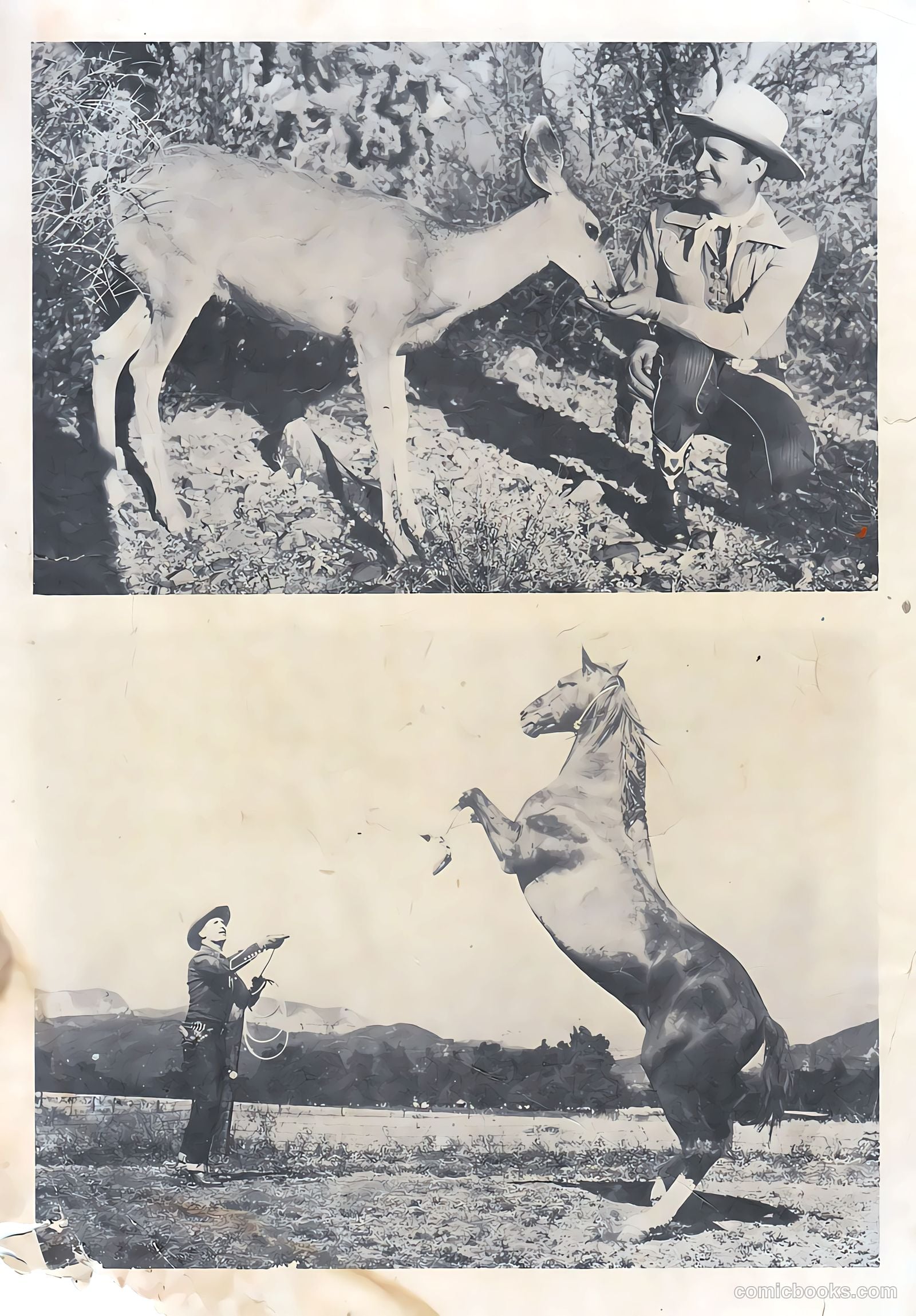 Gene Autry Comics #11 (1954) — page 35 of 36