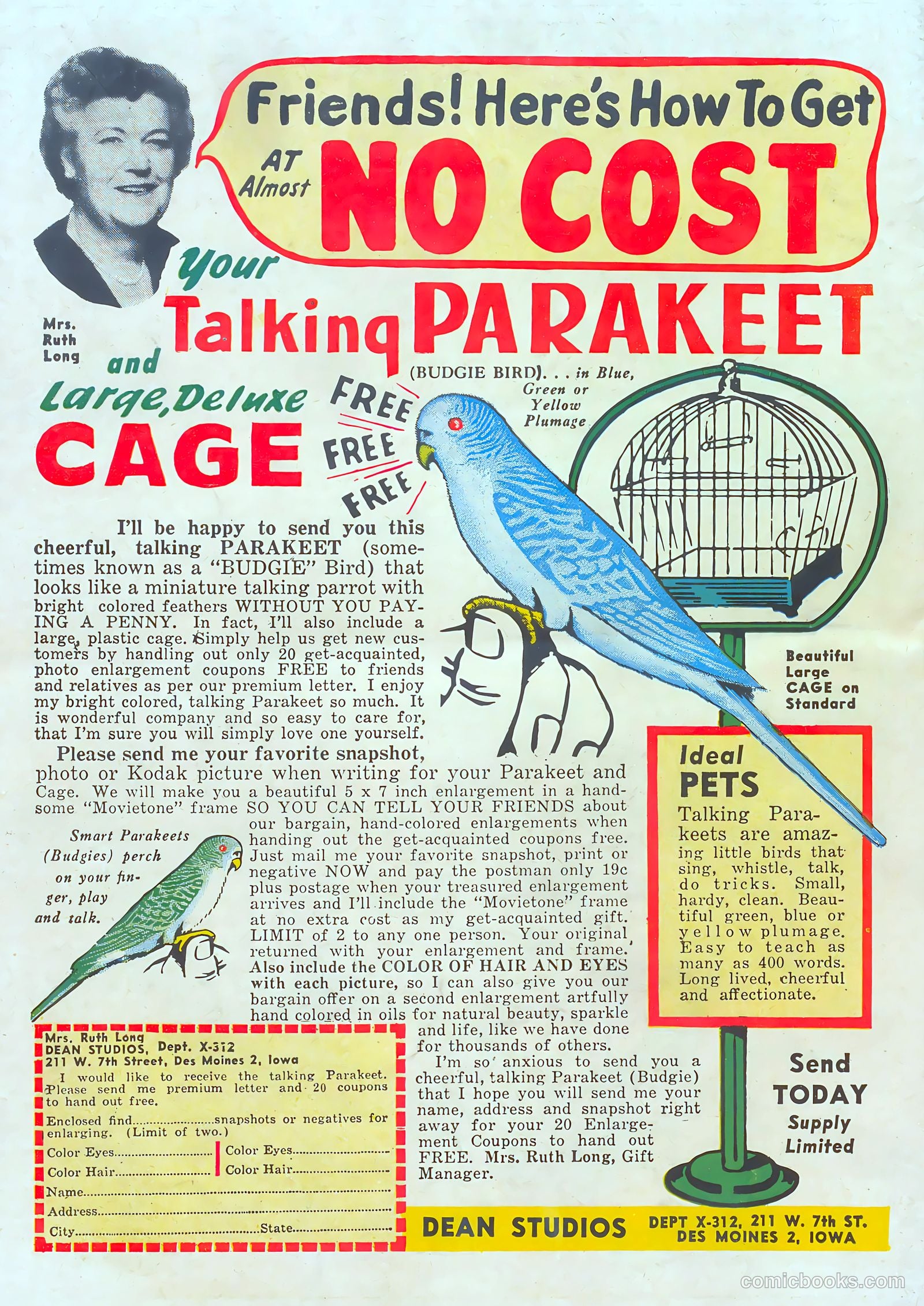 Giggle Comics #92 (1953) — page 36 of 36
