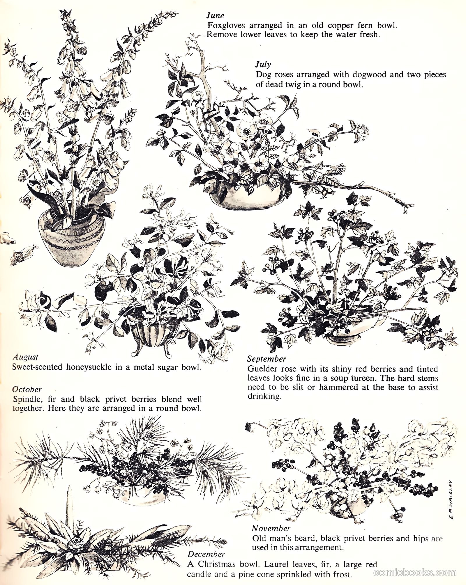 Girl Annual #7 — page 49 of 175