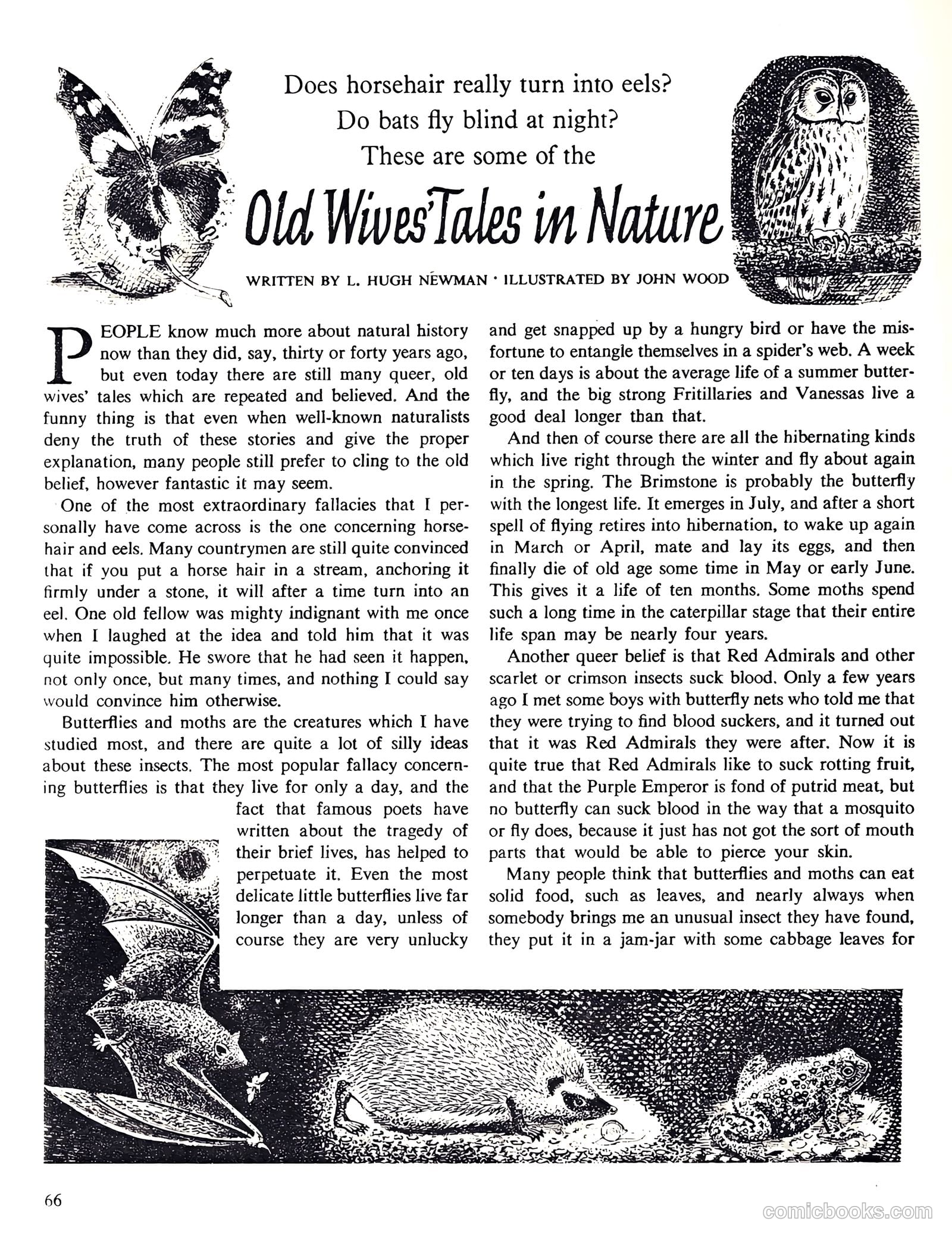 Girl Annual #7 — page 66 of 175
