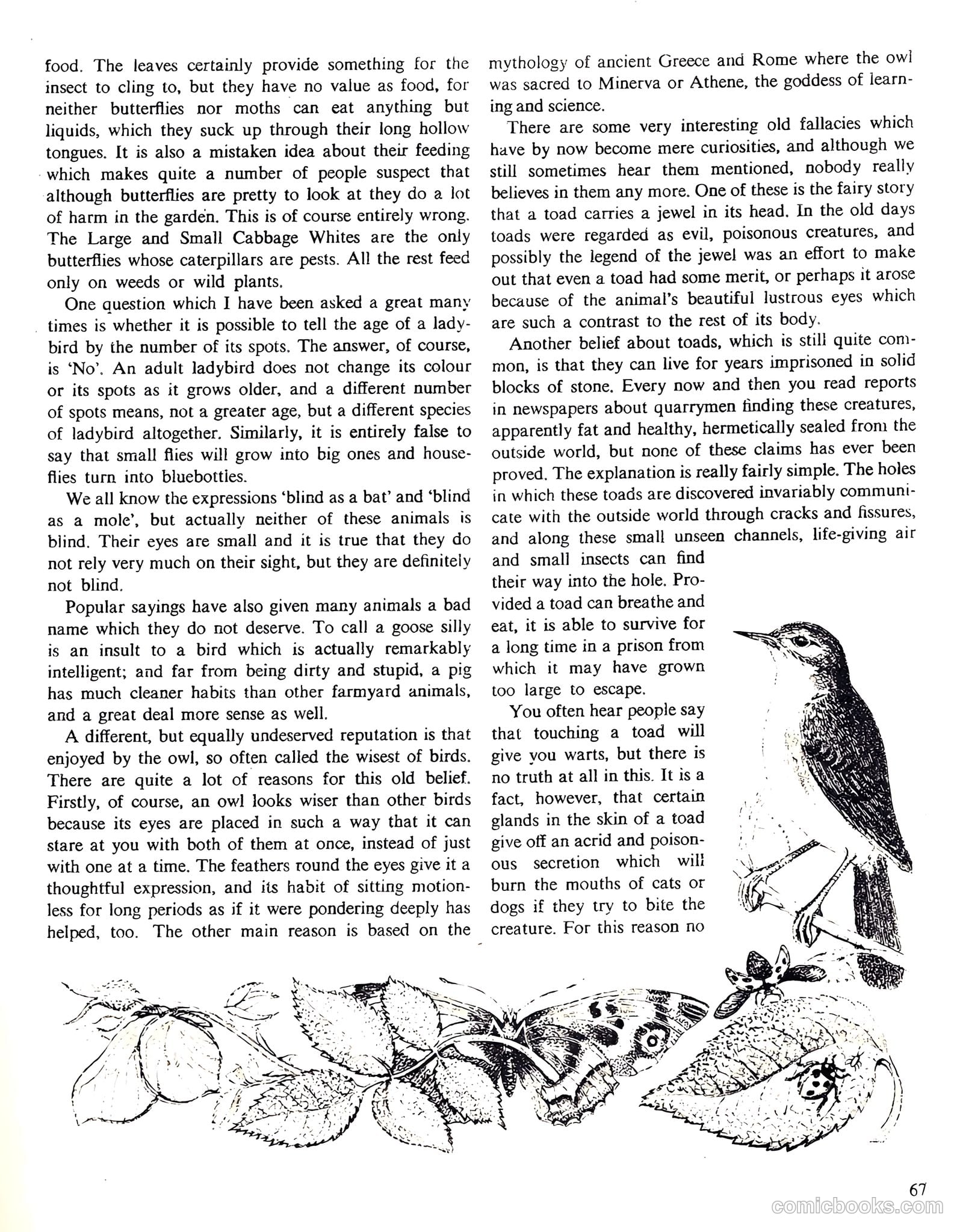 Girl Annual #7 — page 67 of 175