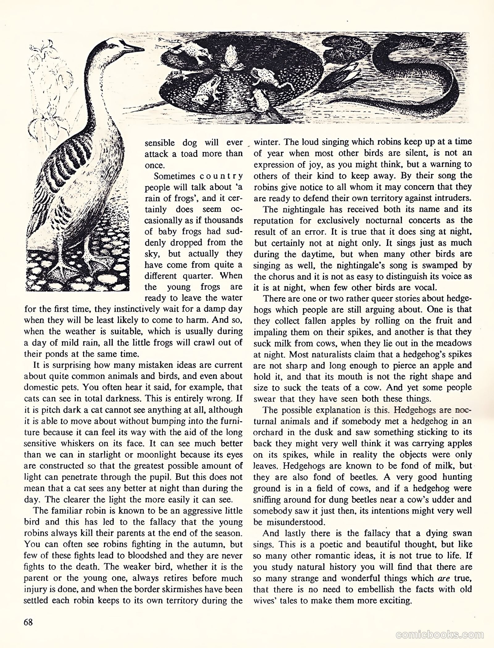Girl Annual #7 — page 68 of 175