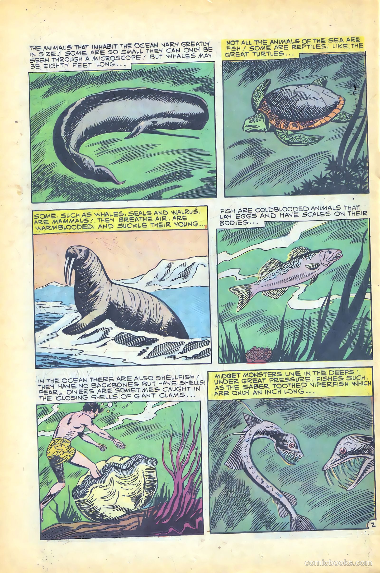 Gorgo #1 (1960) — page 26 of 36