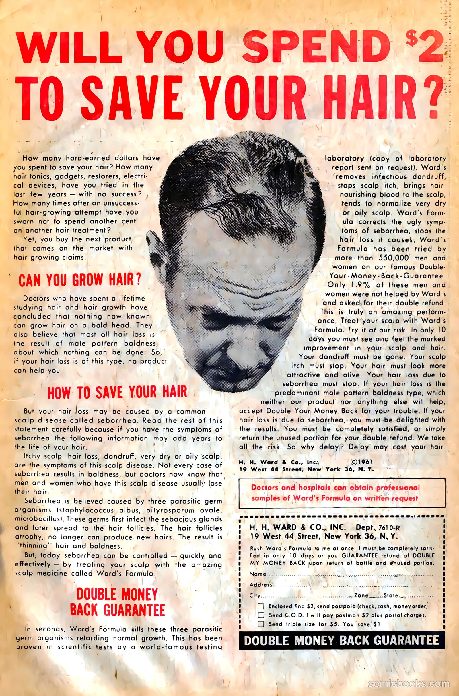 Gorgo #11 (1963) — page 31 of 36
