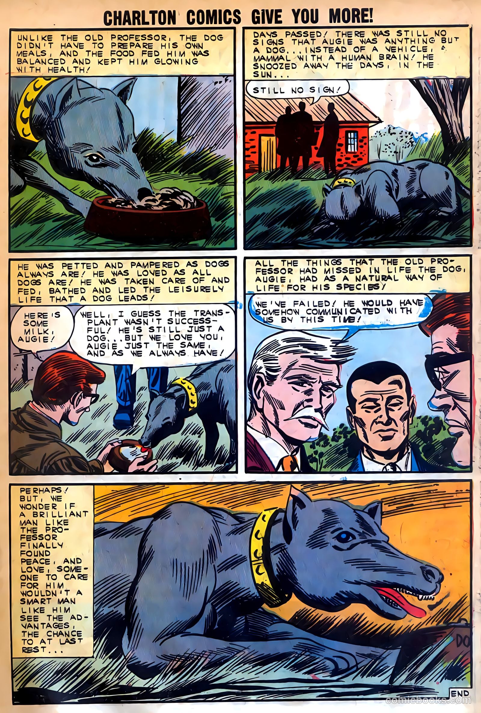 Gorgo #15 (1963) — page 33 of 36