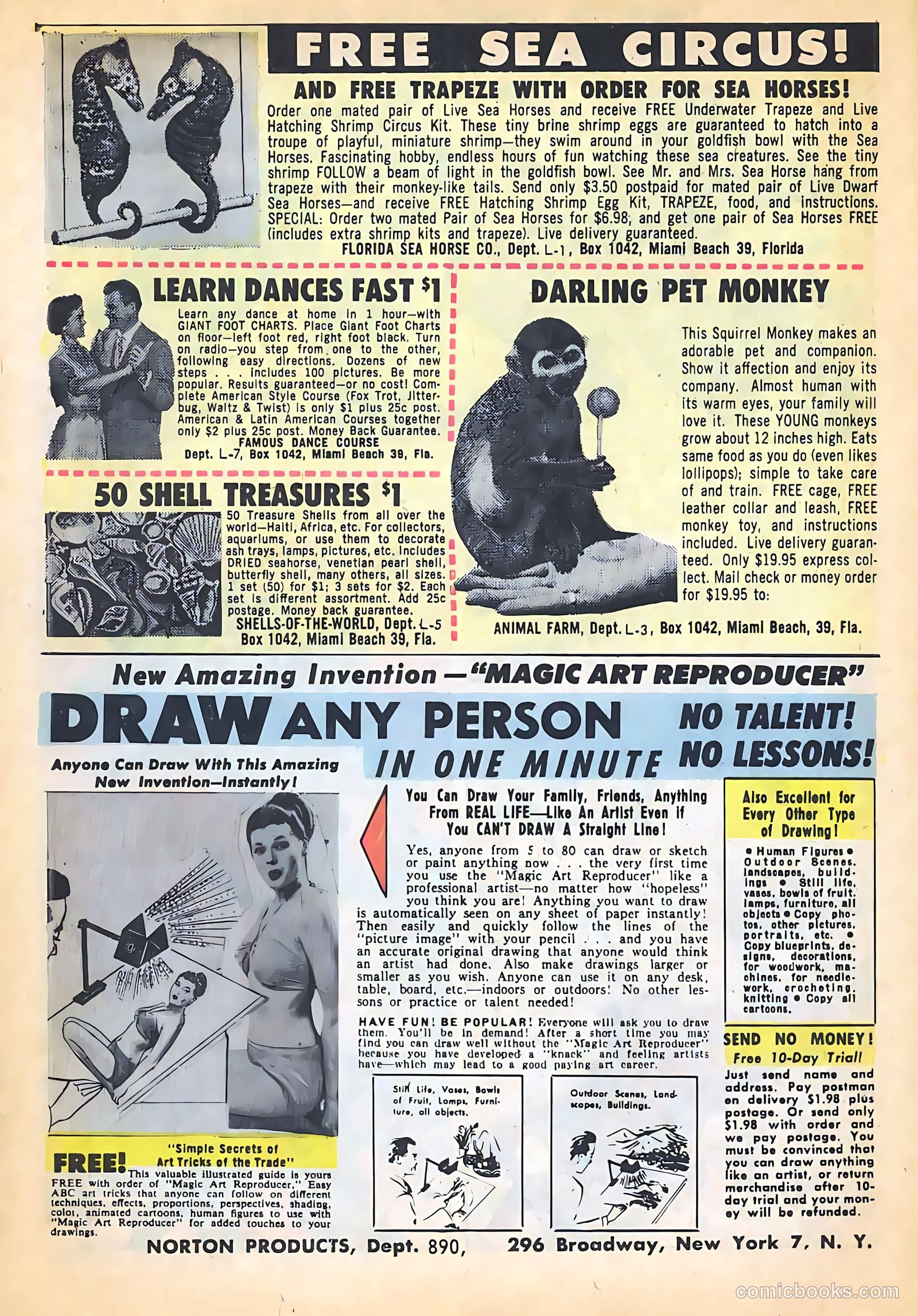 Gorgo #16 (1963) — page 6 of 36