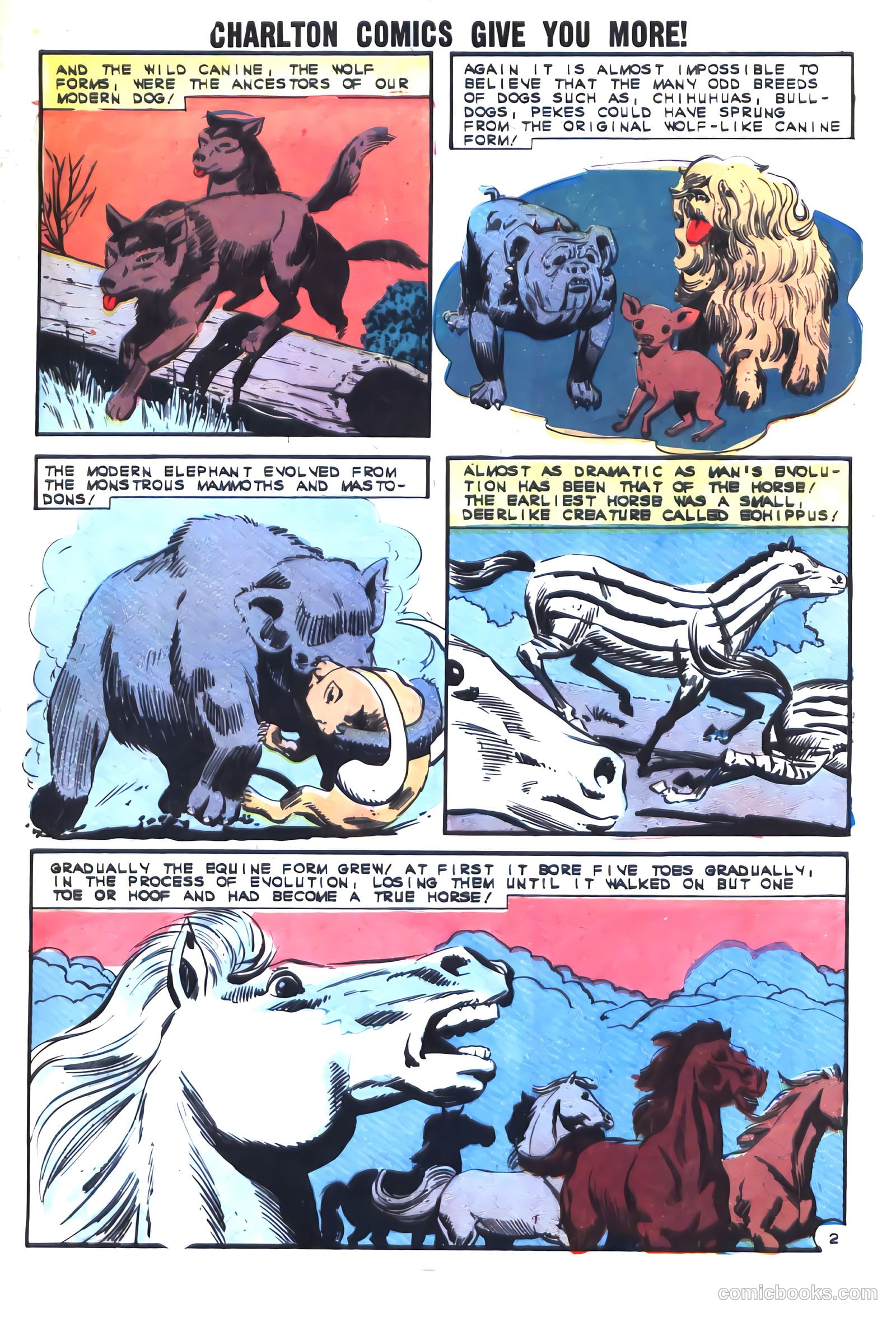 Gorgo #17 (1964) — page 29 of 36