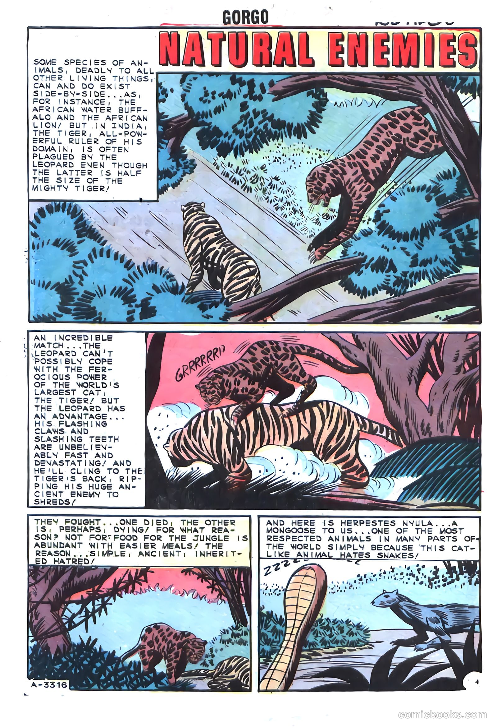 Gorgo #17 (1964) — page 32 of 36