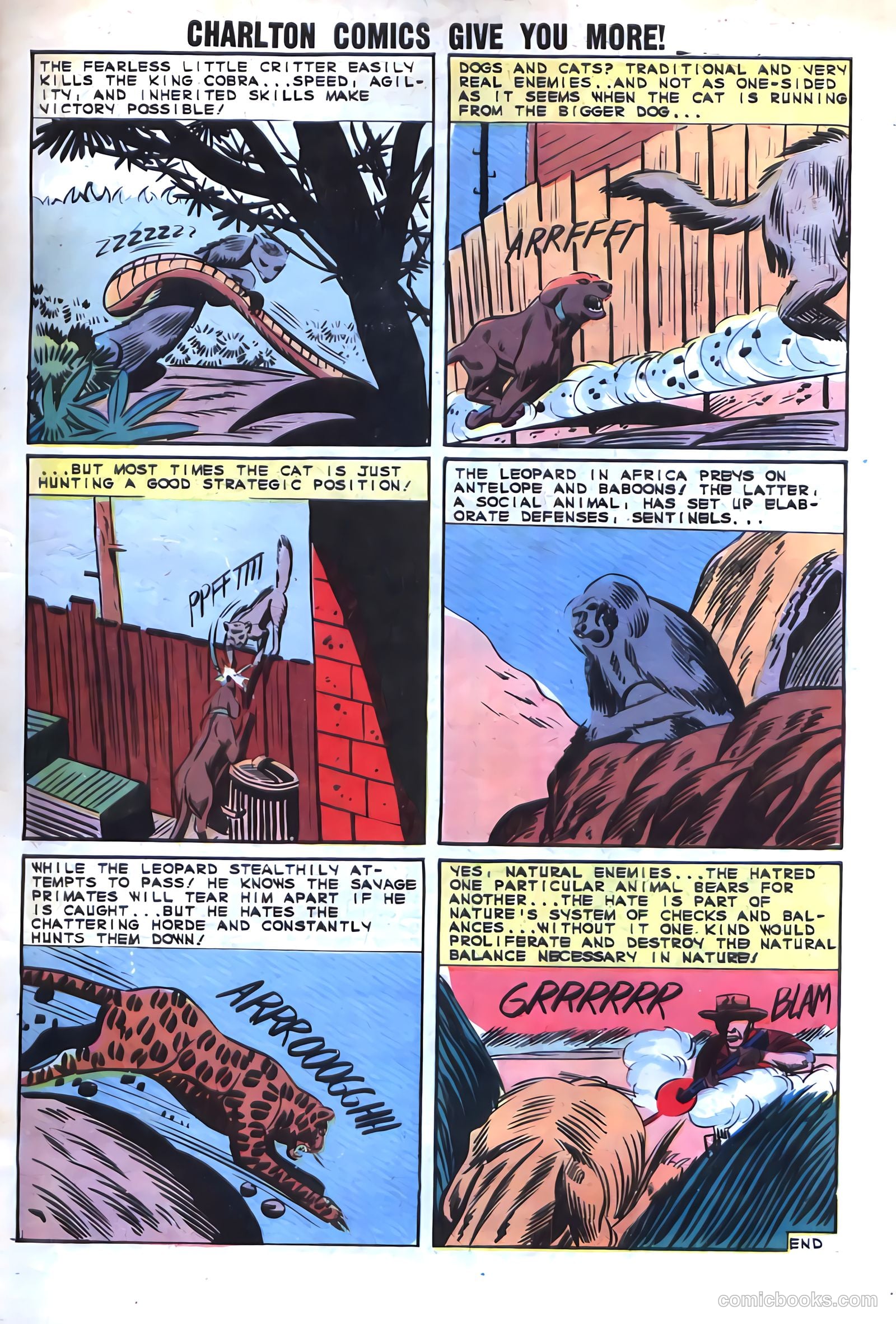 Gorgo #17 (1964) — page 33 of 36