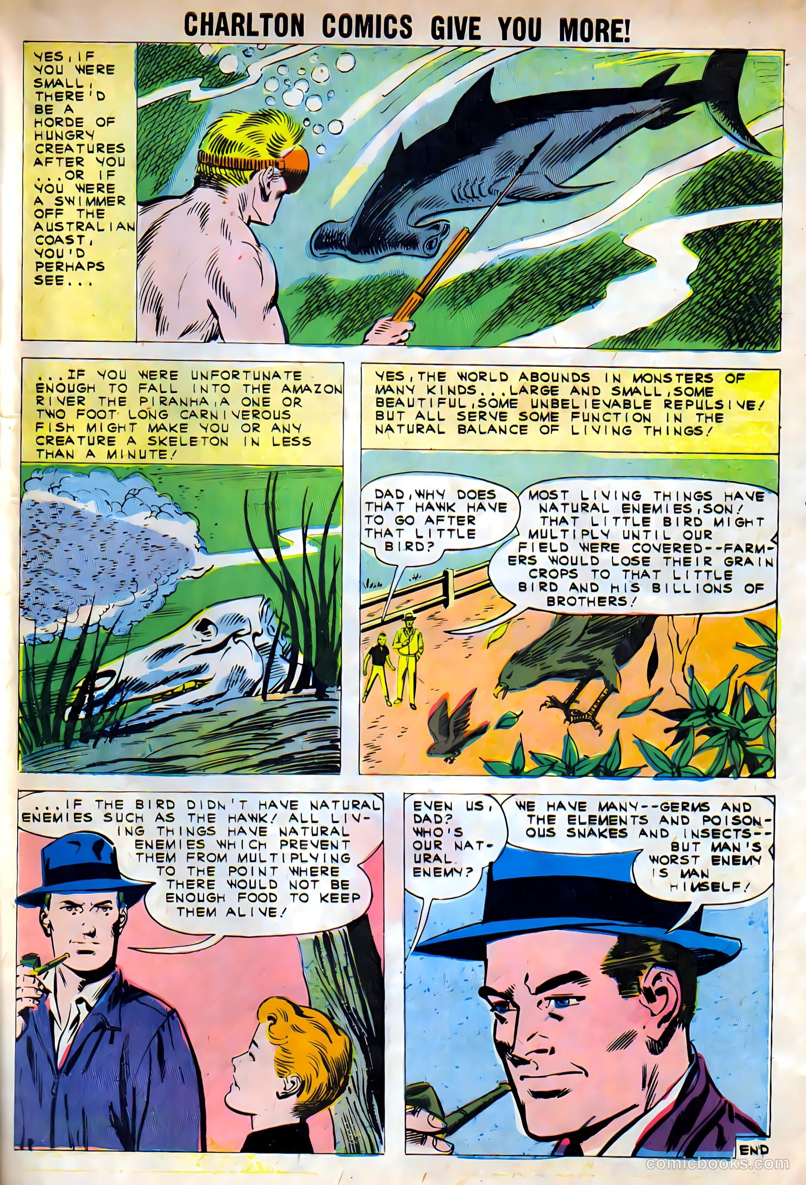 Gorgo #4 (1961) — page 33 of 36