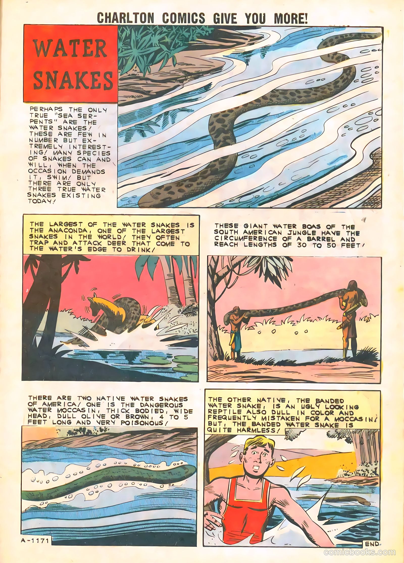 Gorgo #7 (1962) — page 29 of 36
