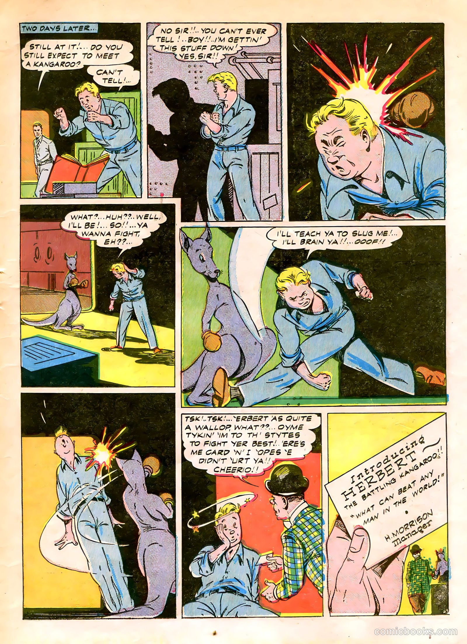 Green Hornet #19 (2011) — page 5 of 32