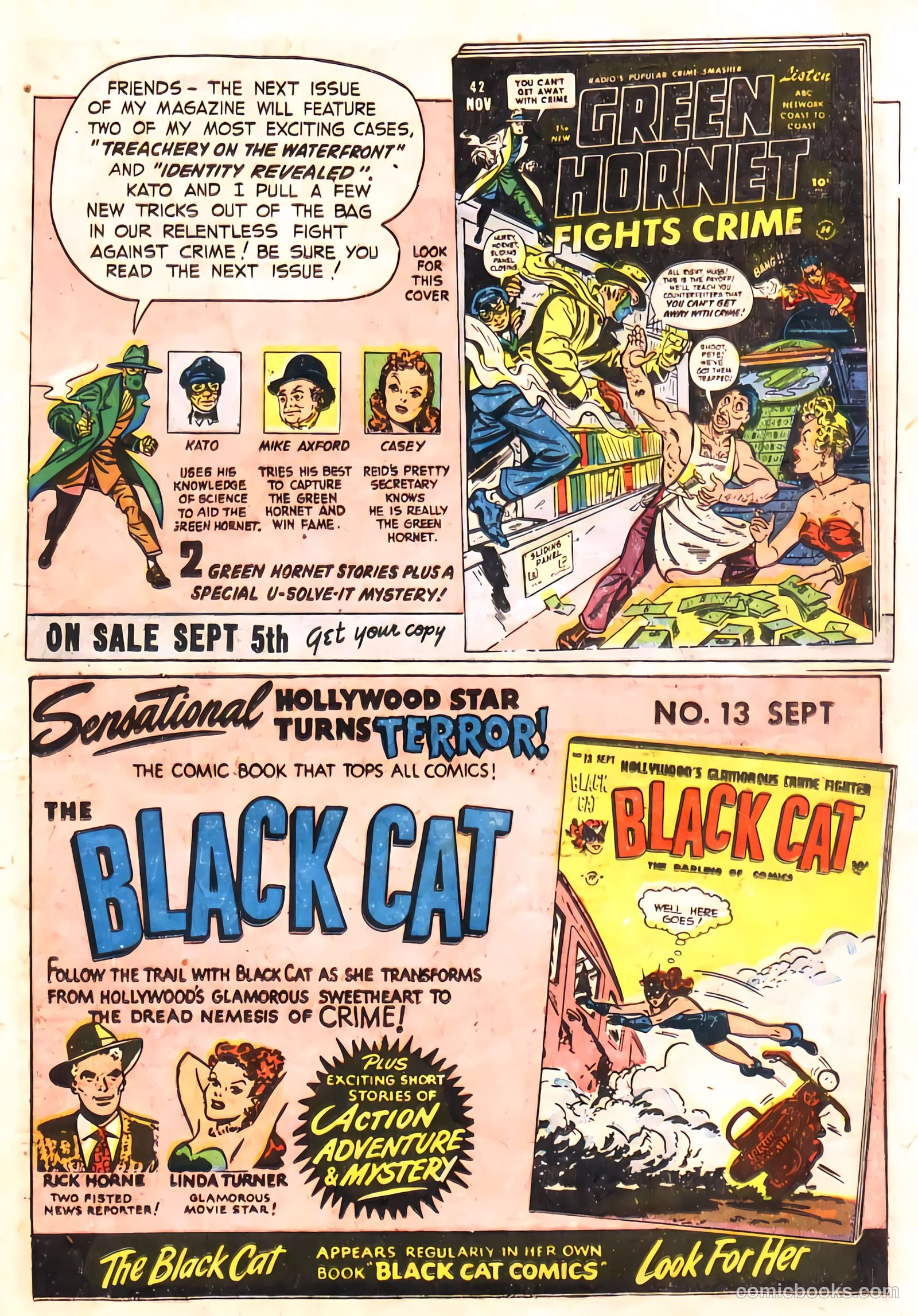 Green Hornet: Legacy #41