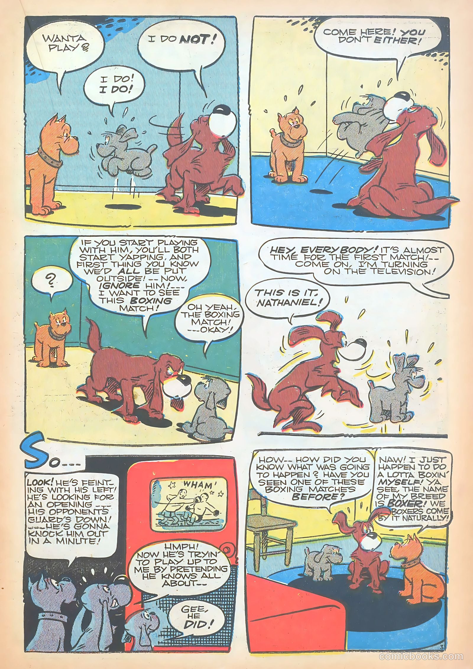 Ha Ha Comics #67 (1949) — page 21 of 52