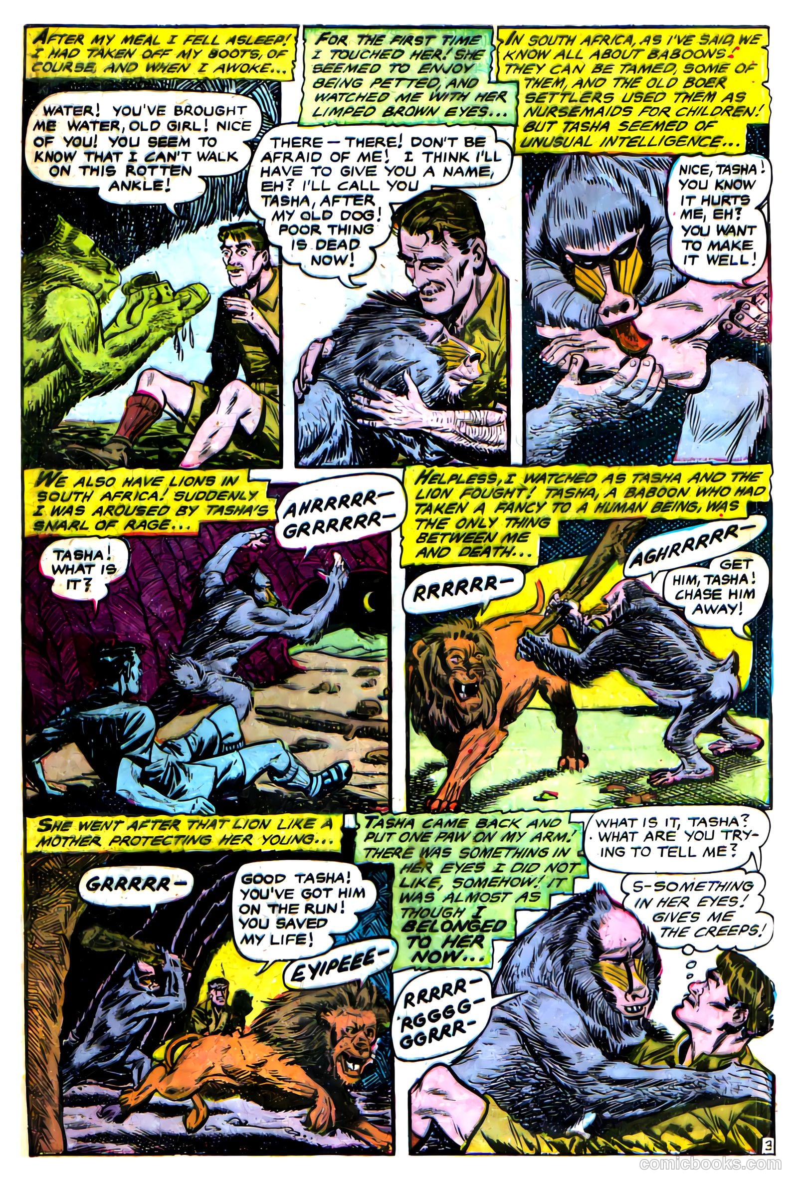 Haunted Thrills #13 (1954) — page 4 of 15