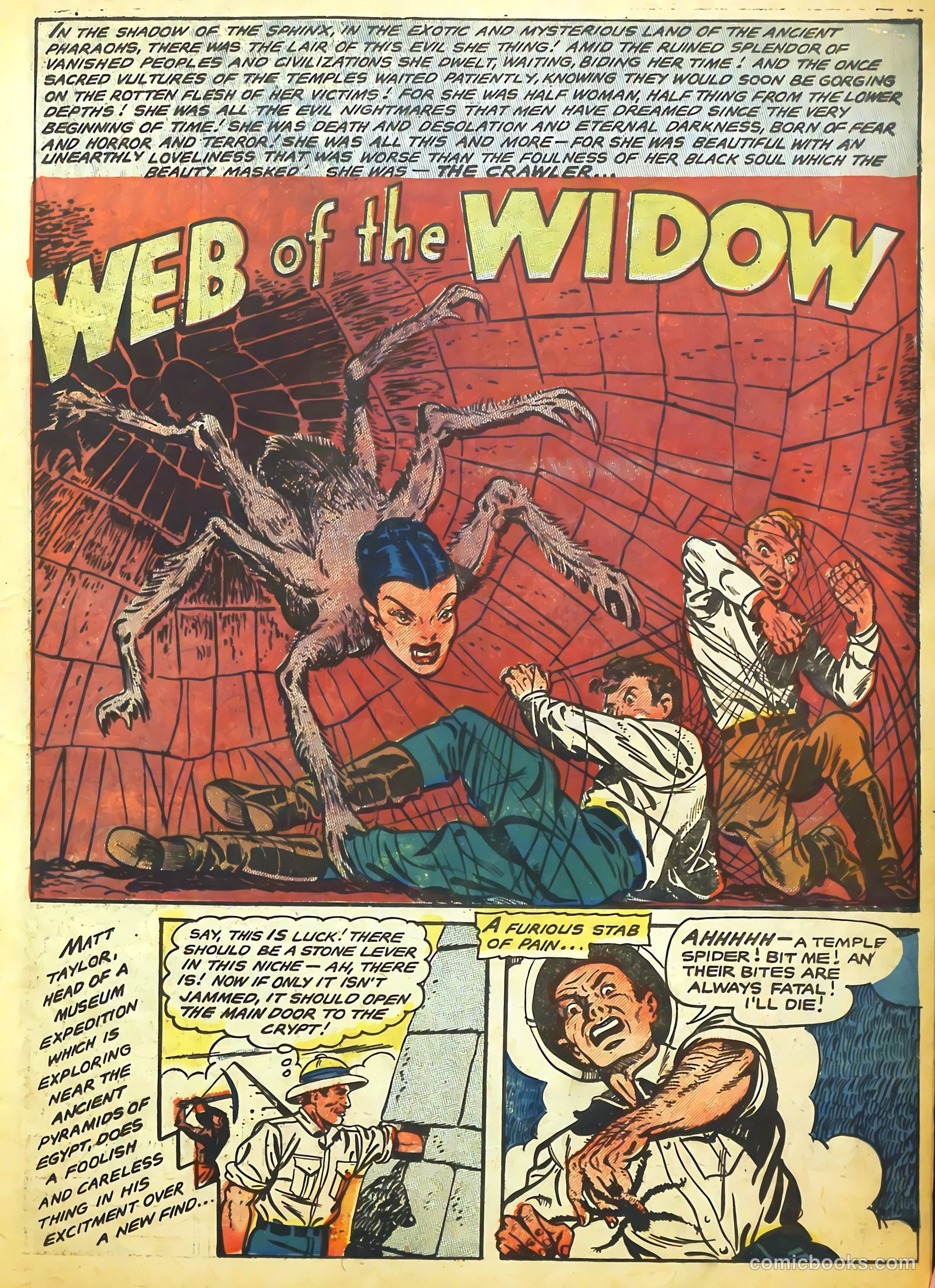 Haunted Thrills #16 (1954) — page 11 of 35