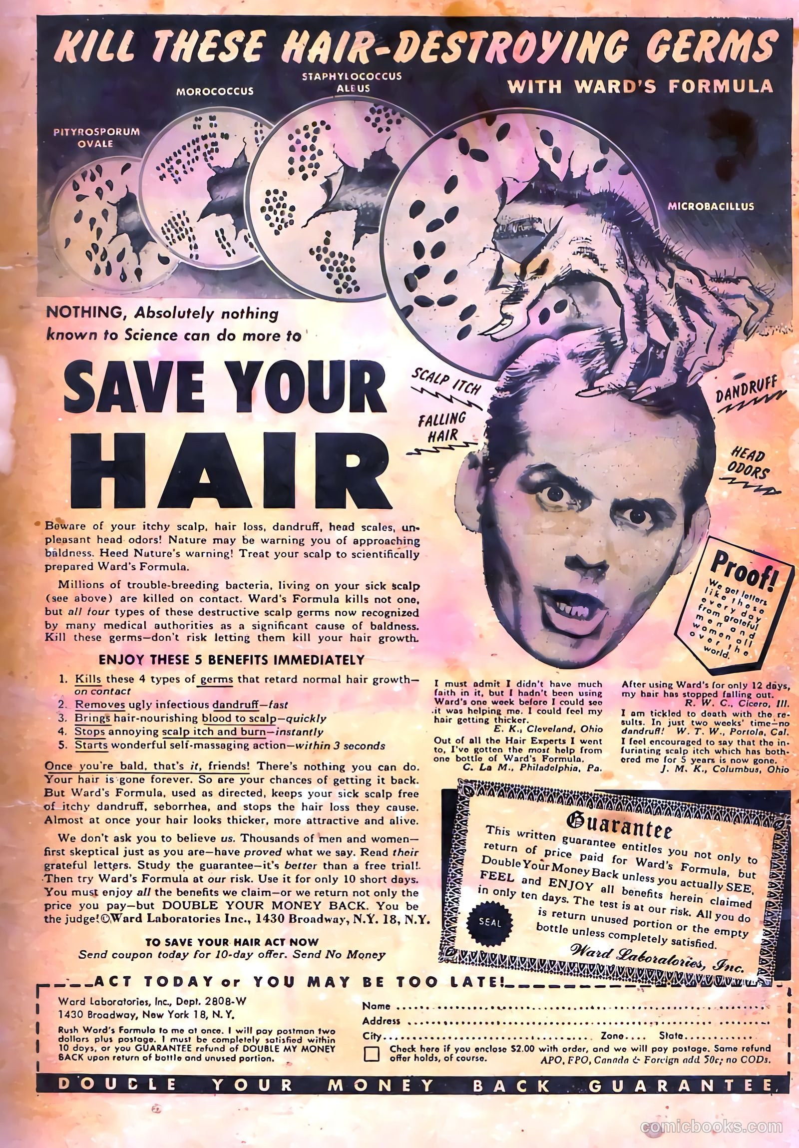 Haunted Thrills #3 (1952) — page 35 of 36