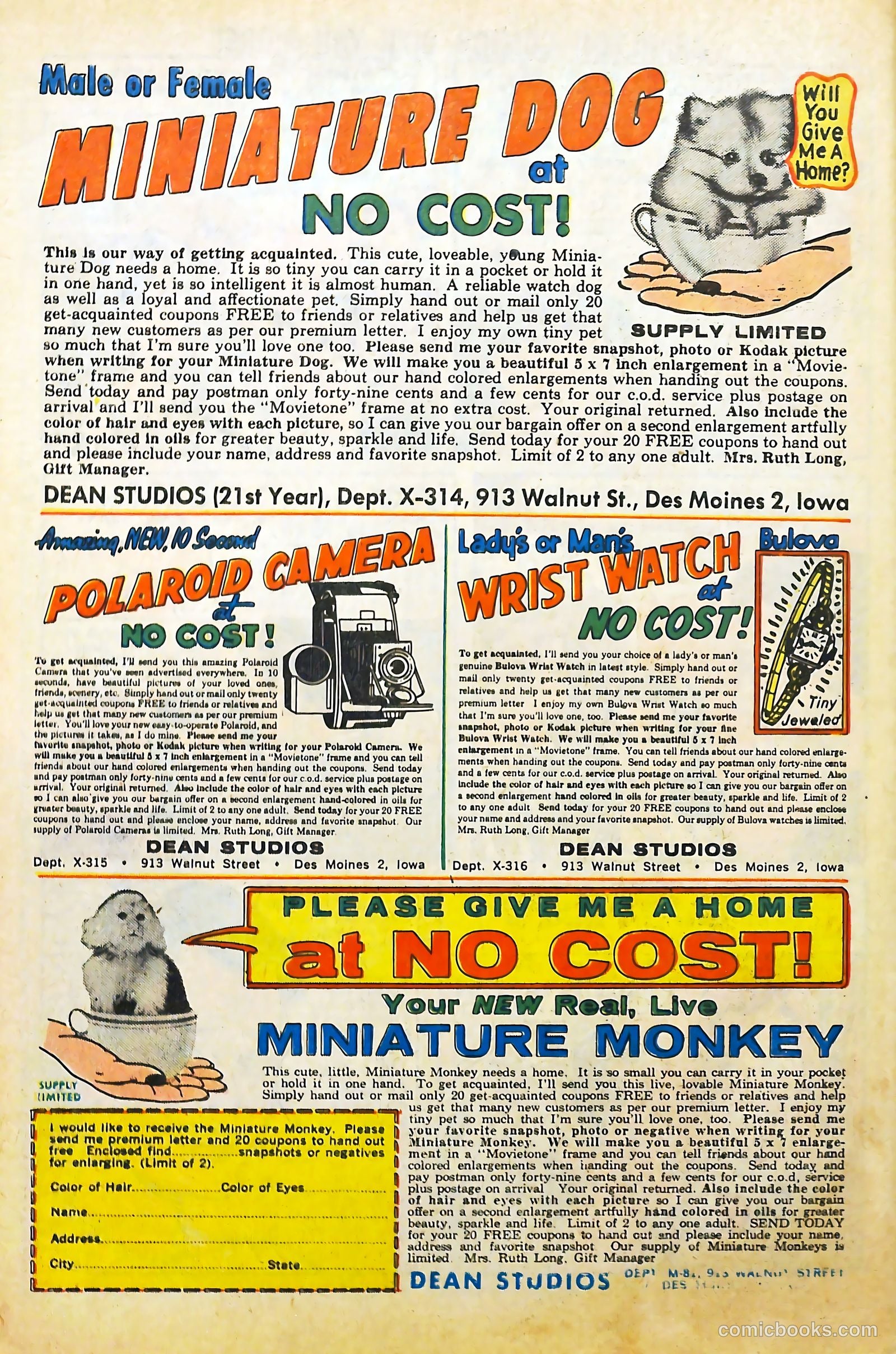 High School Confidential Diary #11 (1962) — page 34 of 36