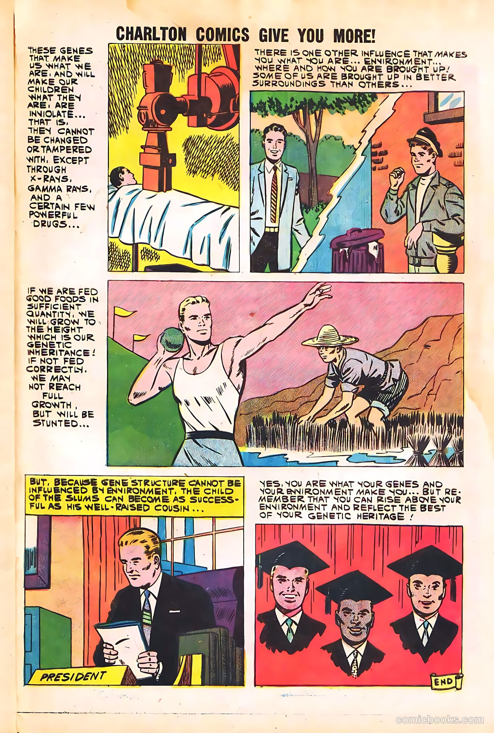High School Confidential Diary #4 (1960) — page 33 of 36
