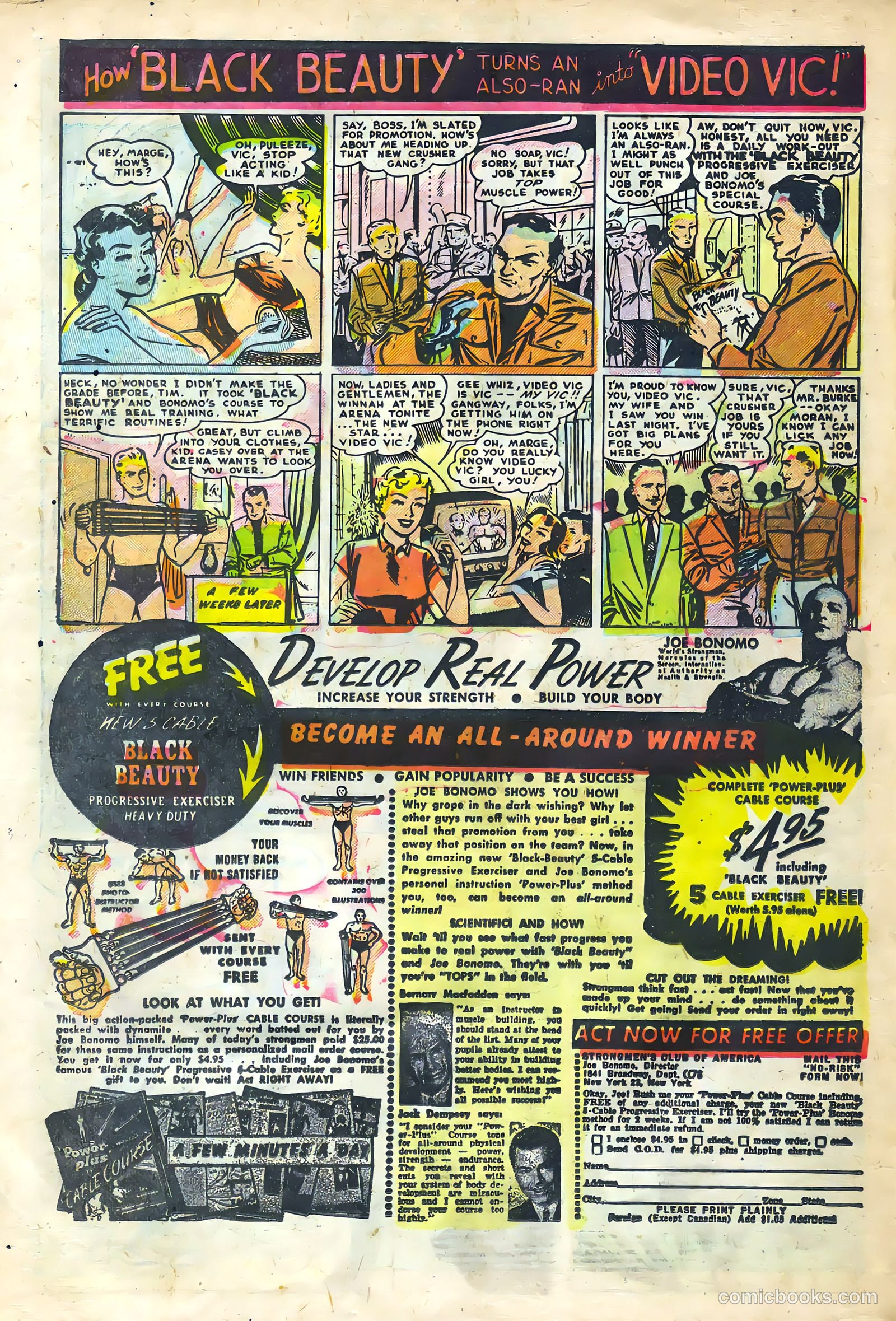 Hillbilly Comics #2 (1955) — page 22 of 36