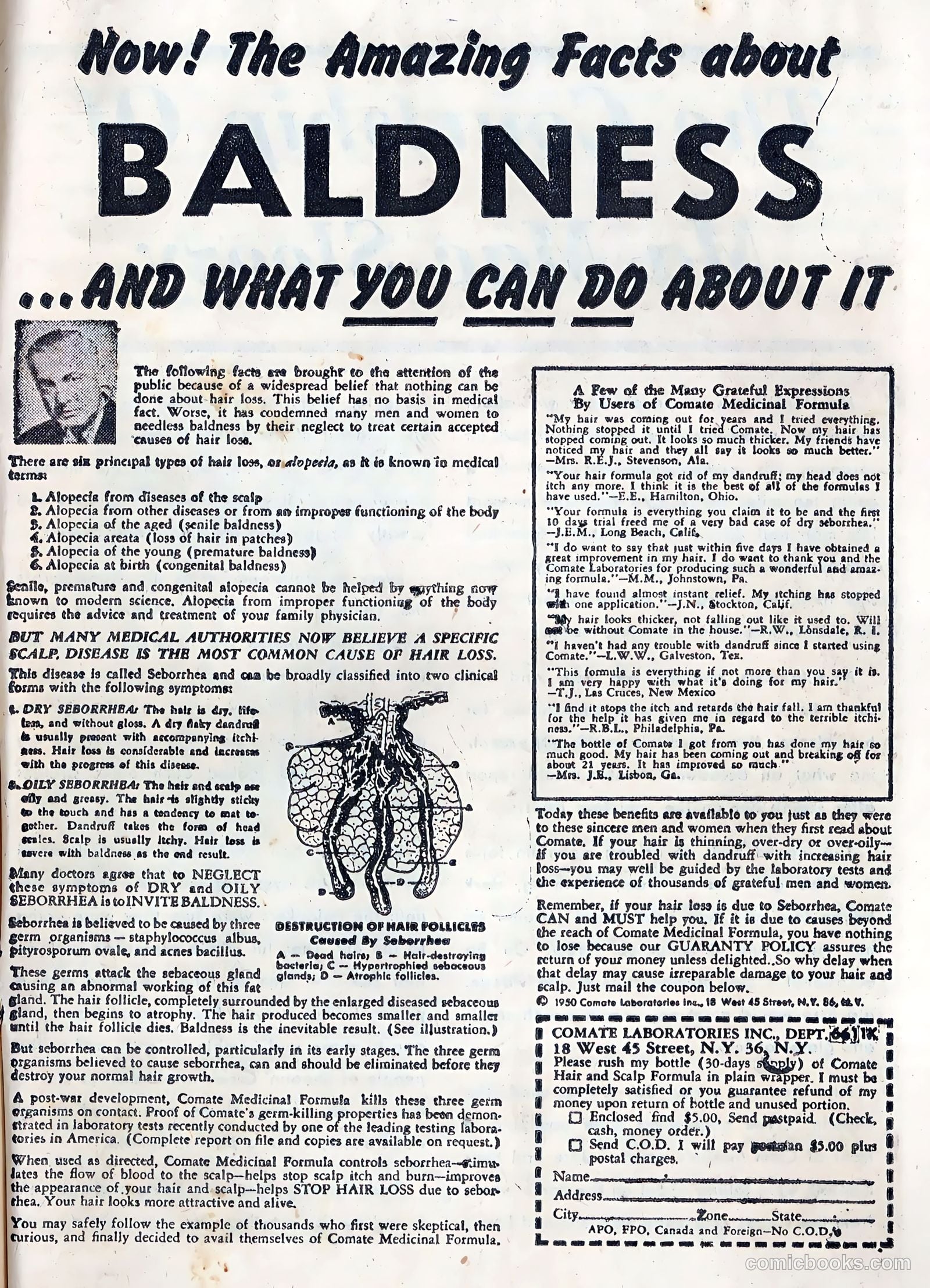 Hillbilly Comics #3 (1956) — page 15 of 36